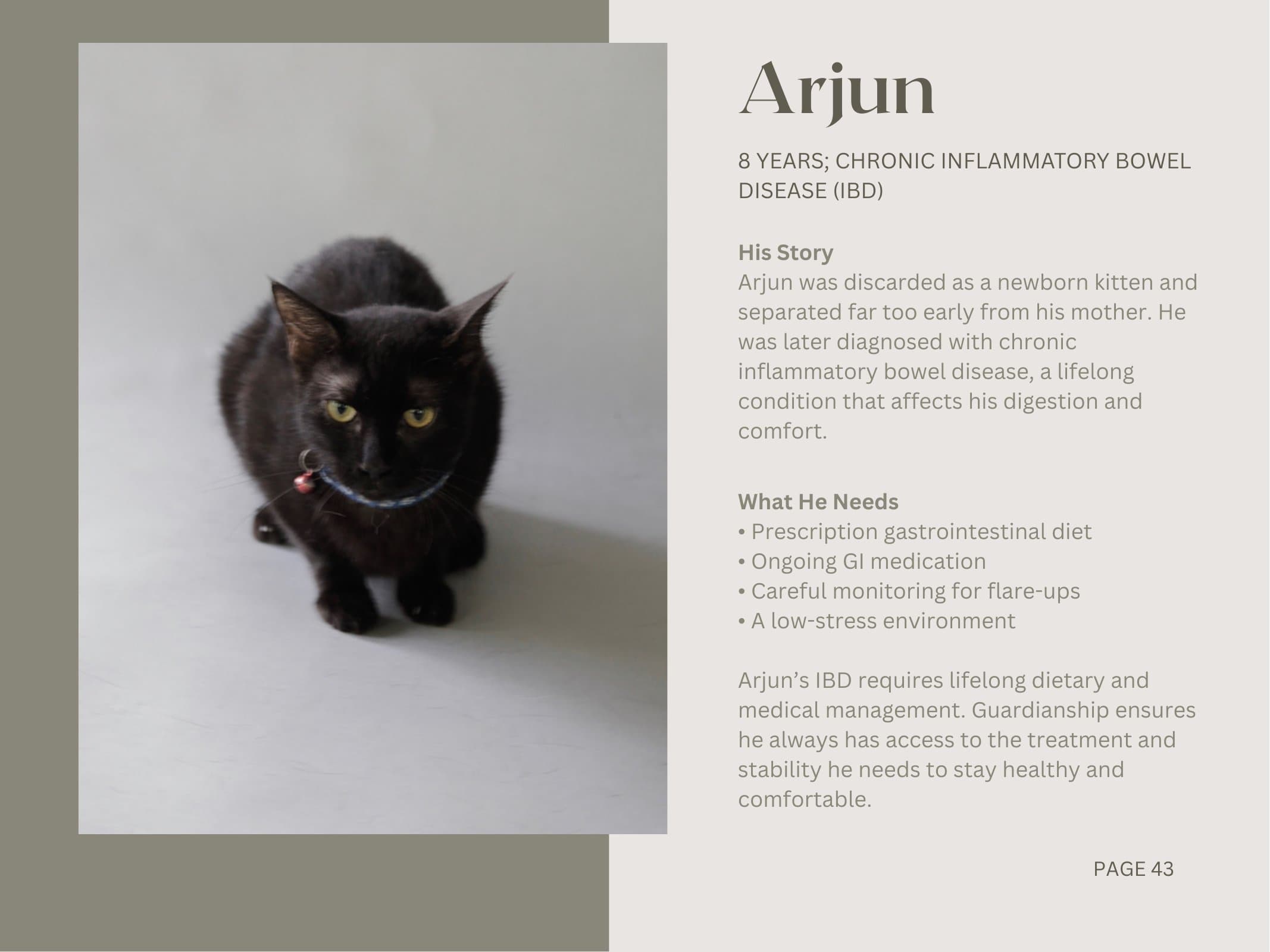 Arjun