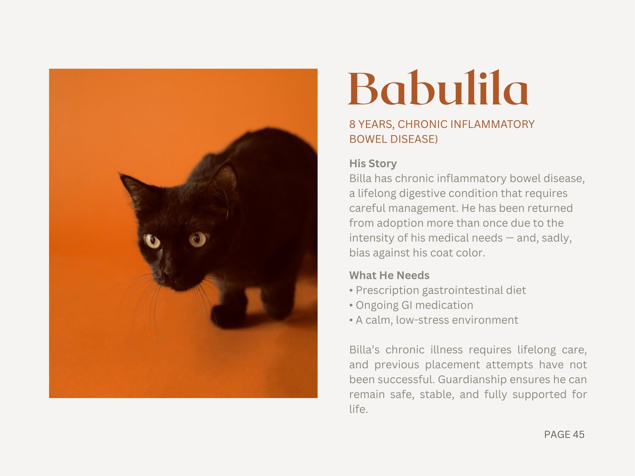Babulila — Chronic Inflammatory Bowel Disease
