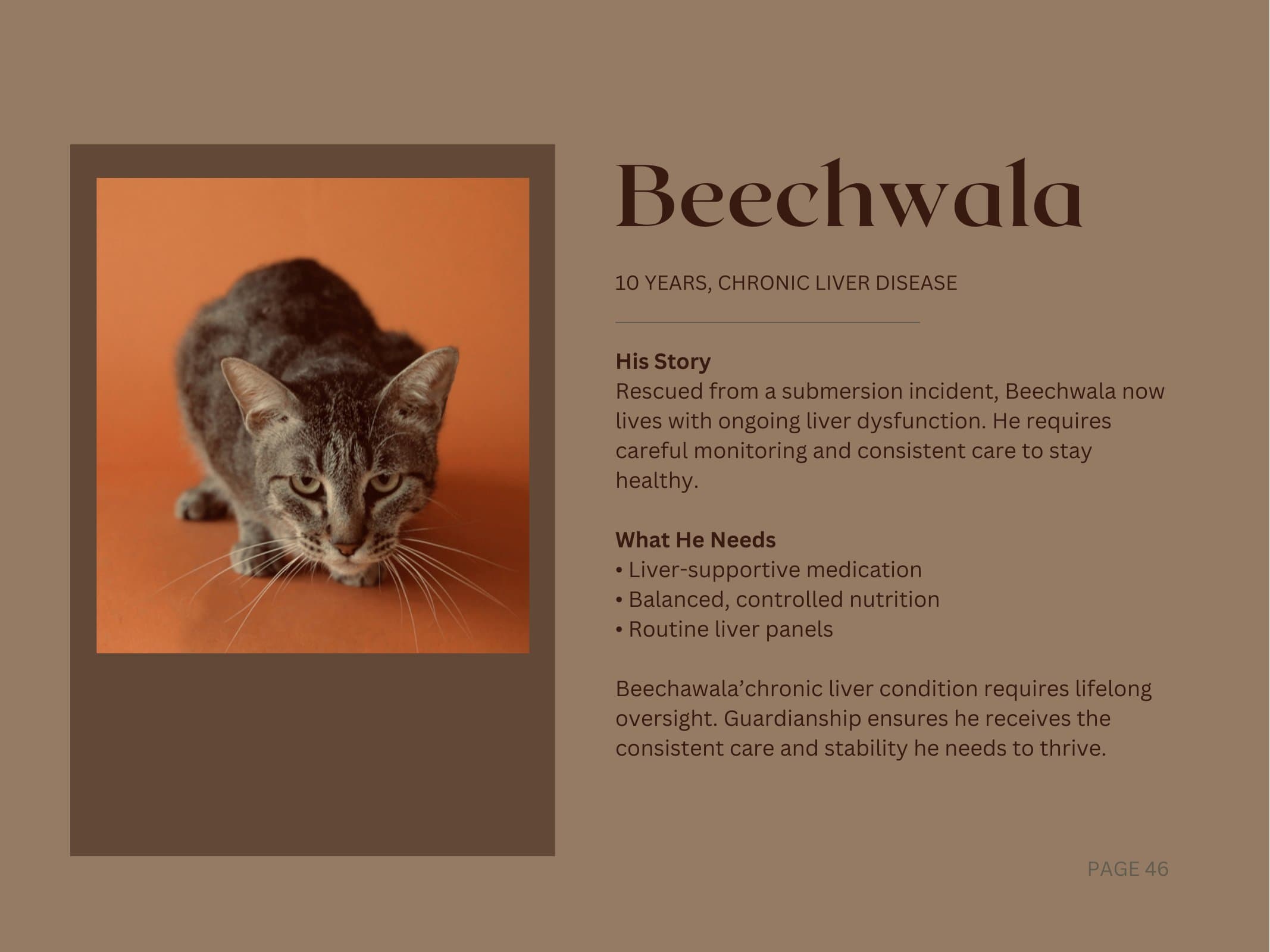Beechwala — Chronic Liver Disease