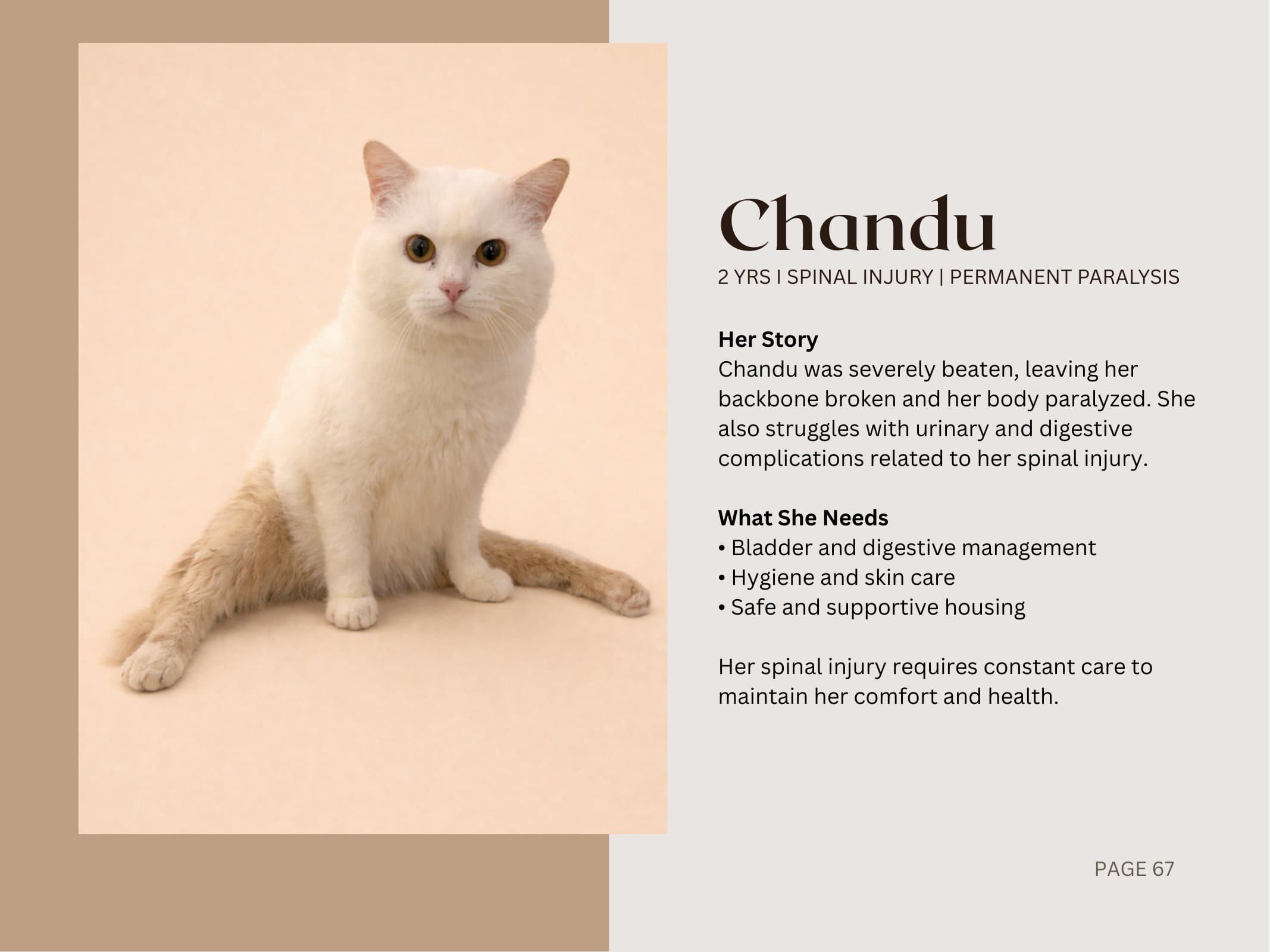 Chandu — Spinal Injury | Permanent Paralysis