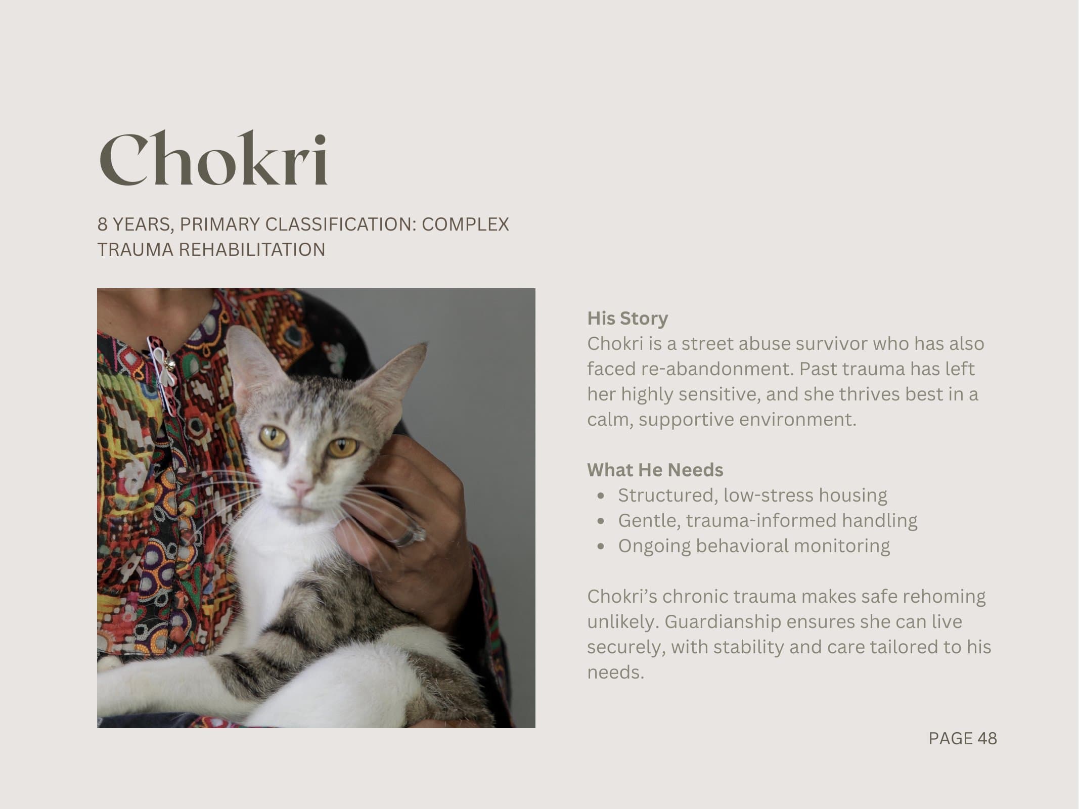 Chokri — Complex Trauma Rehabilitation