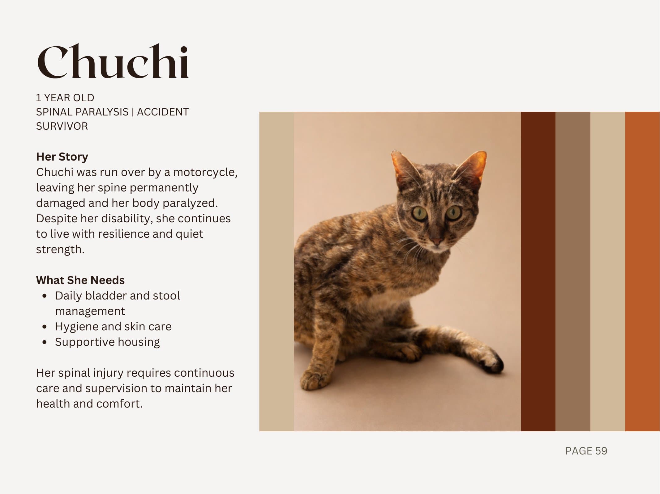 Chuchi — Spinal Paralysis | Accident Survivor