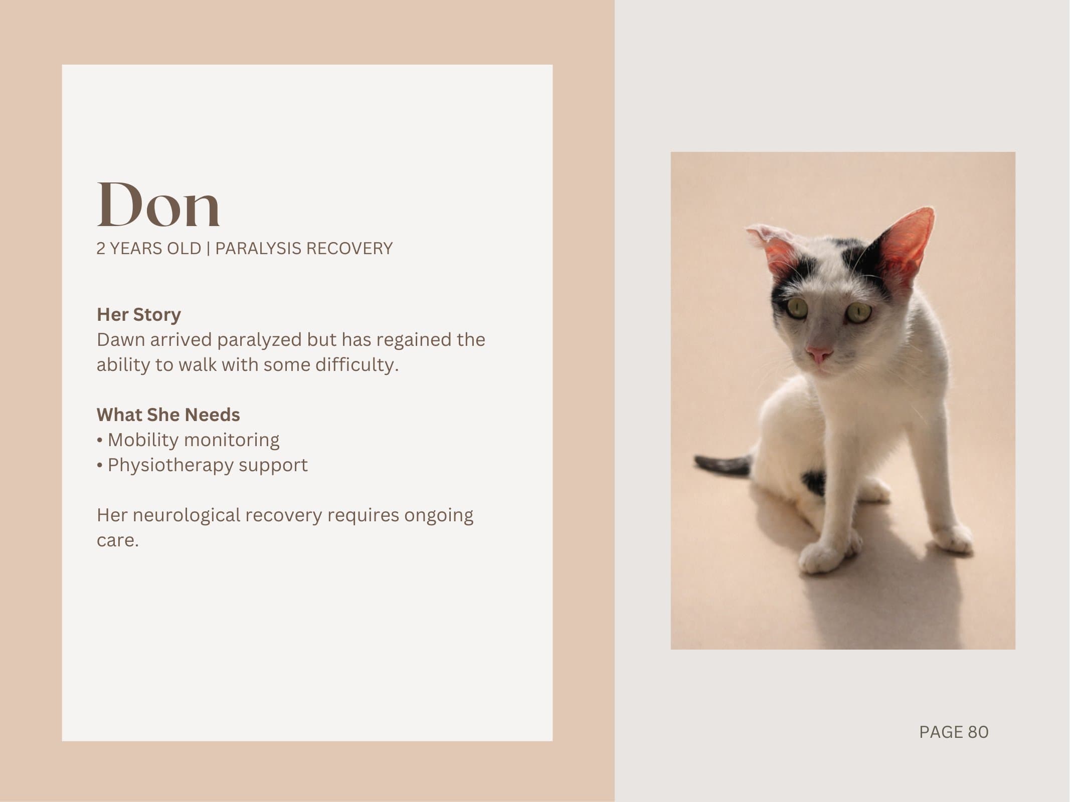 Don — Paralysis Recovery