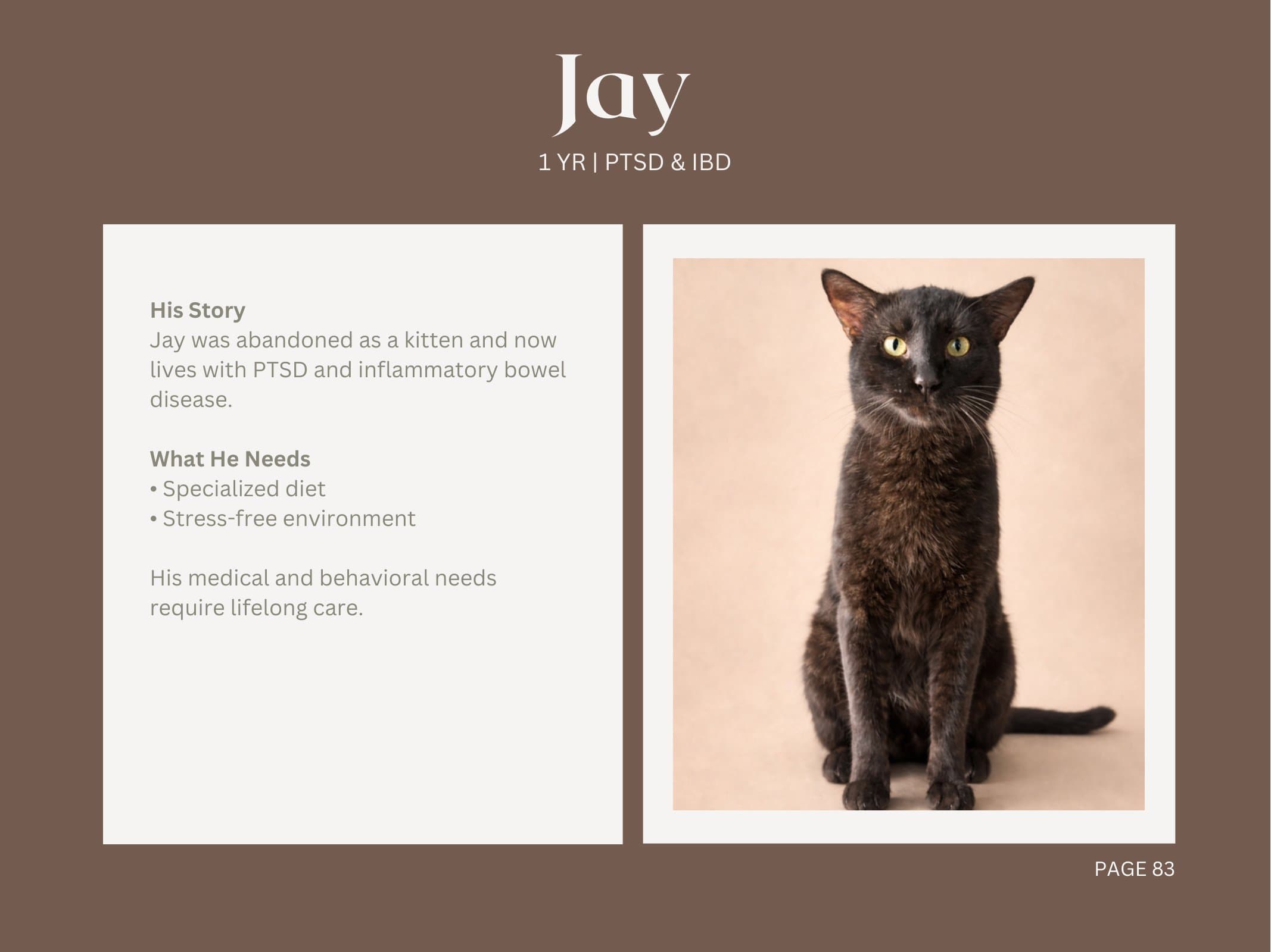 Jay — PTSD & IBD