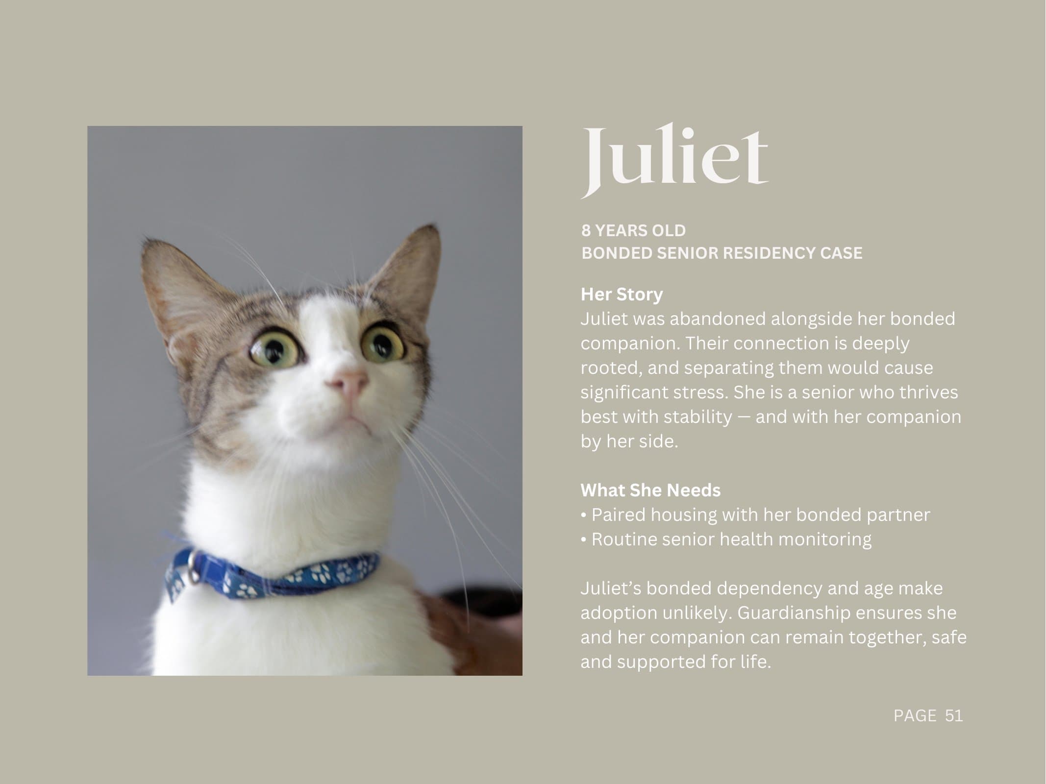 Juliet — Bonded Senior Residency Case