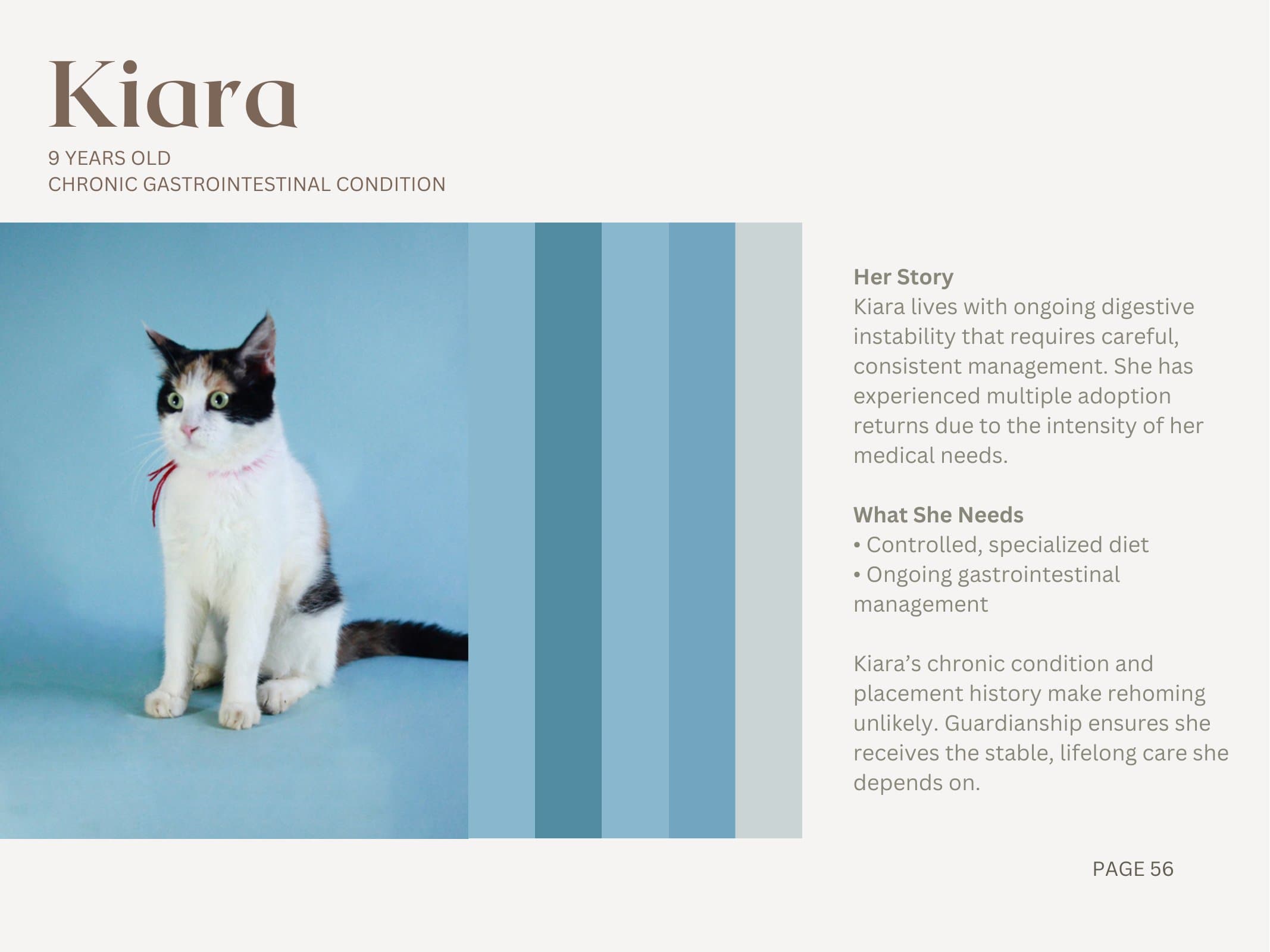 Kiara — Chronic Gastrointestinal Condition