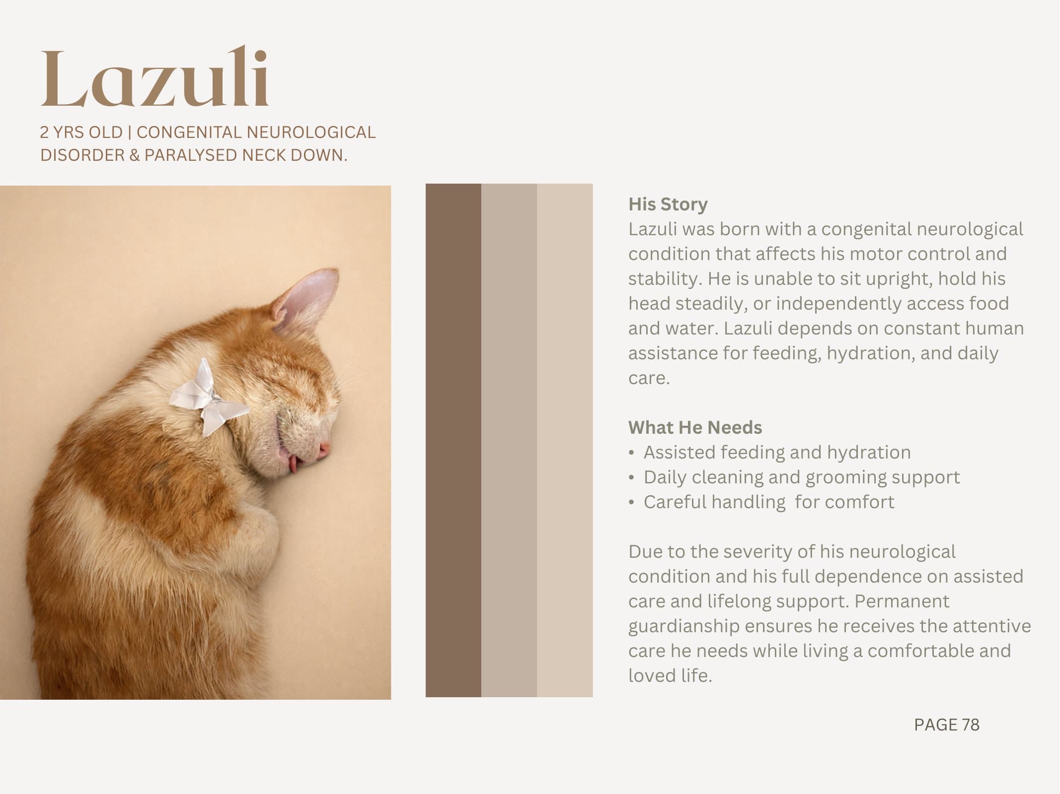 Lazuli — Congenital Neurological Disorder & Paralysed Neck Down