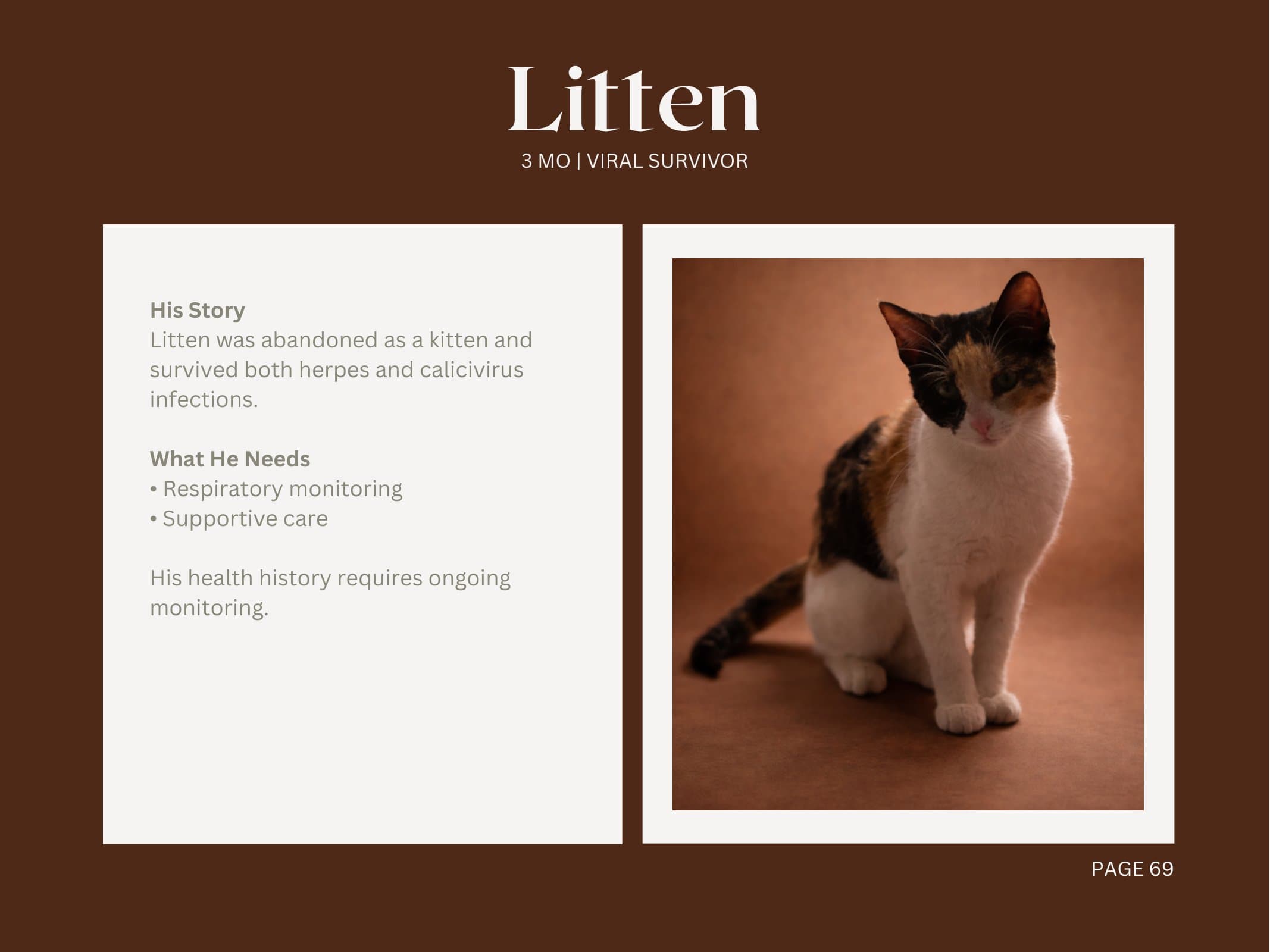 Litten — Viral Survivor