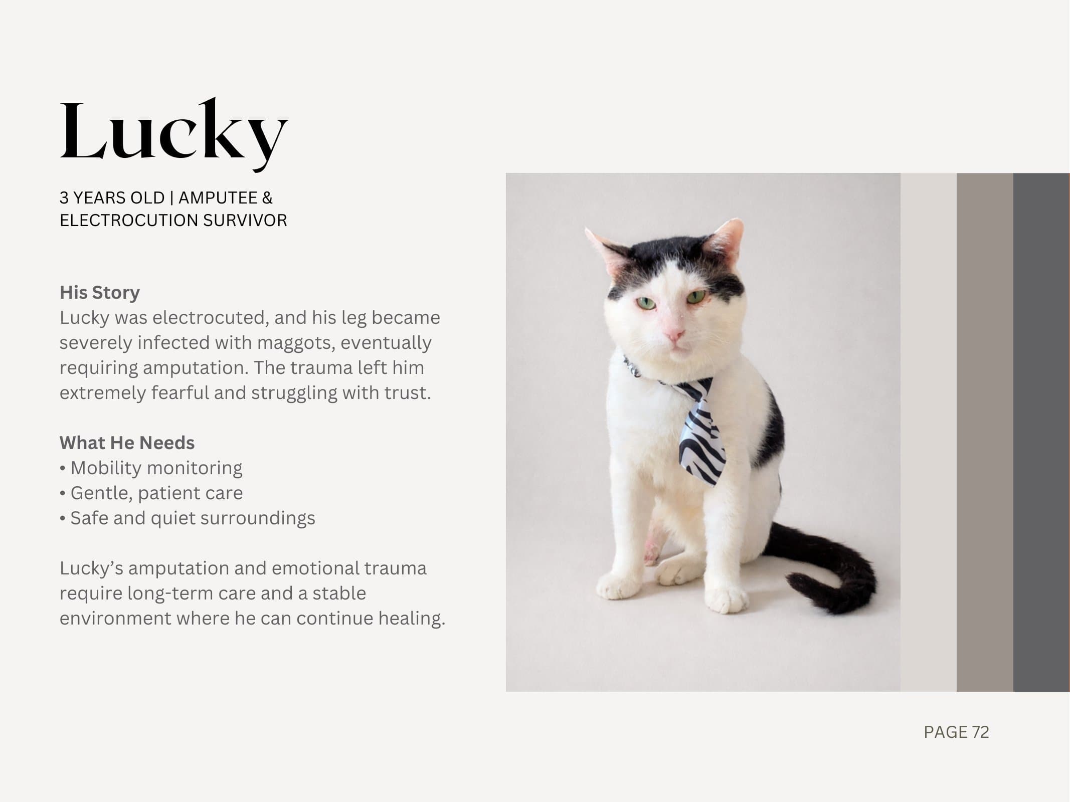 Lucky — Amputee & Electrocution Survivor