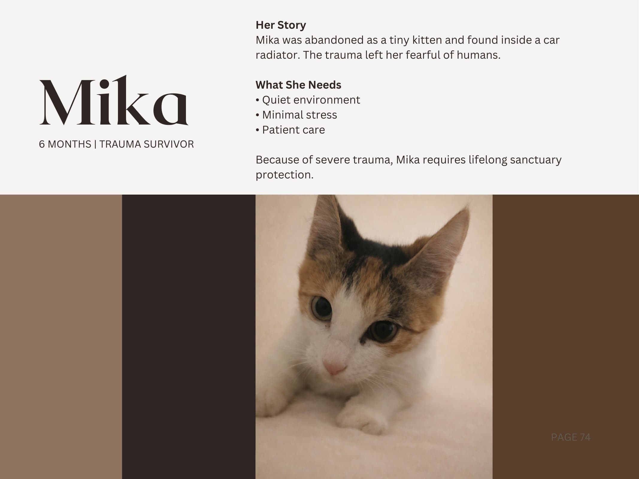 Mika — Trauma Survivor