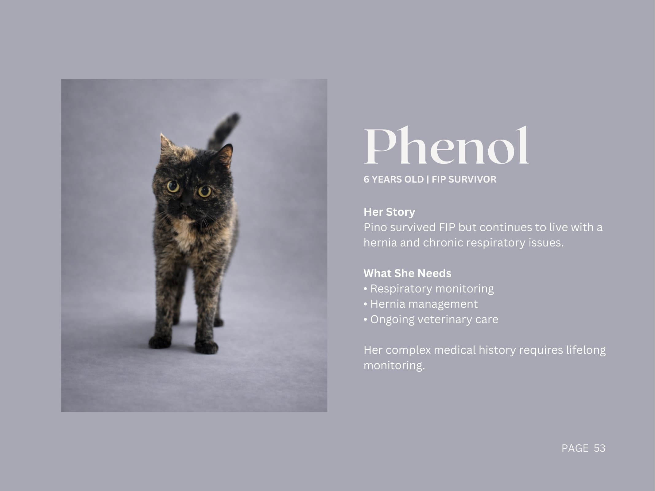 Phenol — FIP Survivor