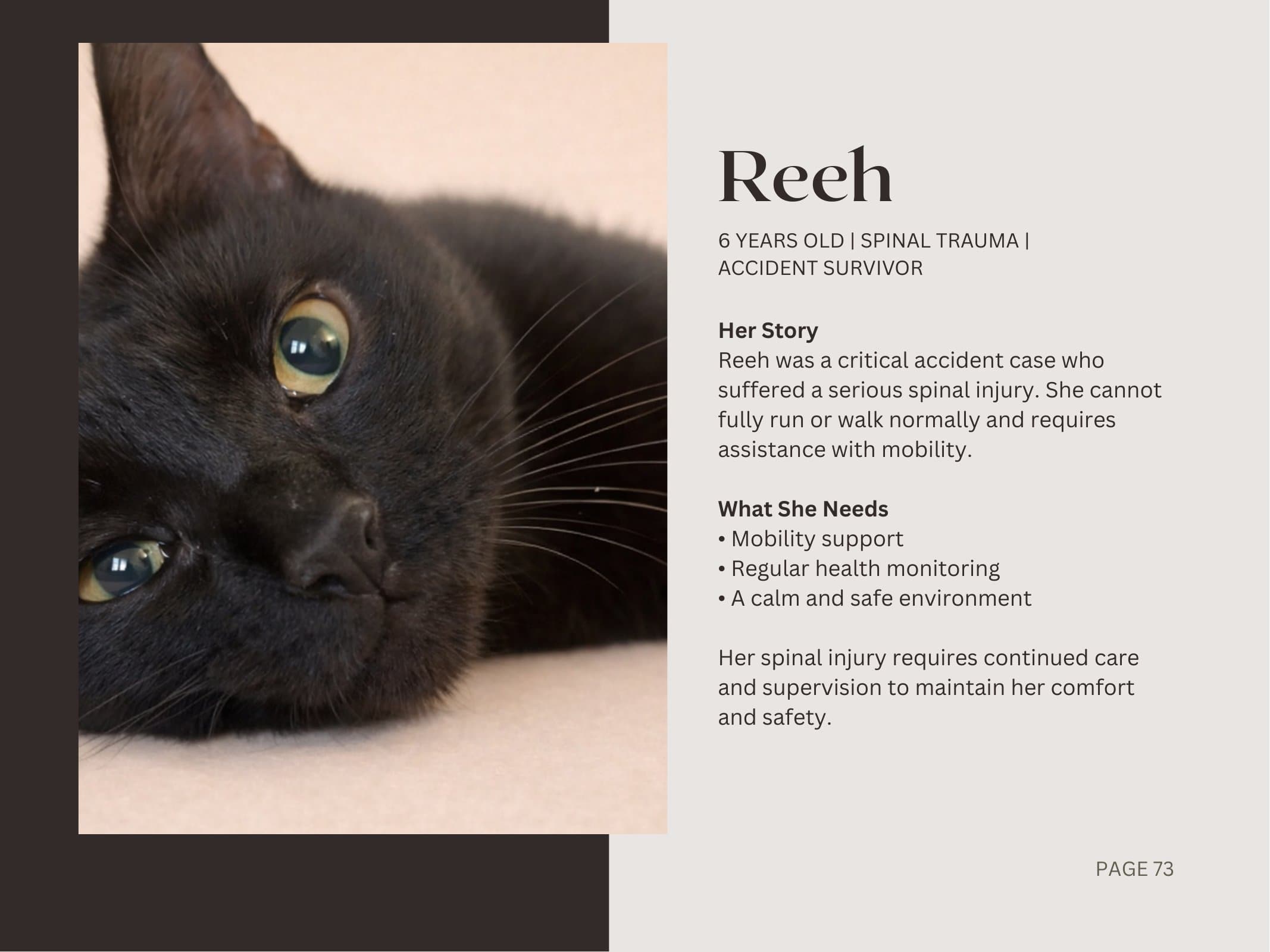 Reeh — Spinal Trauma | Accident Survivor