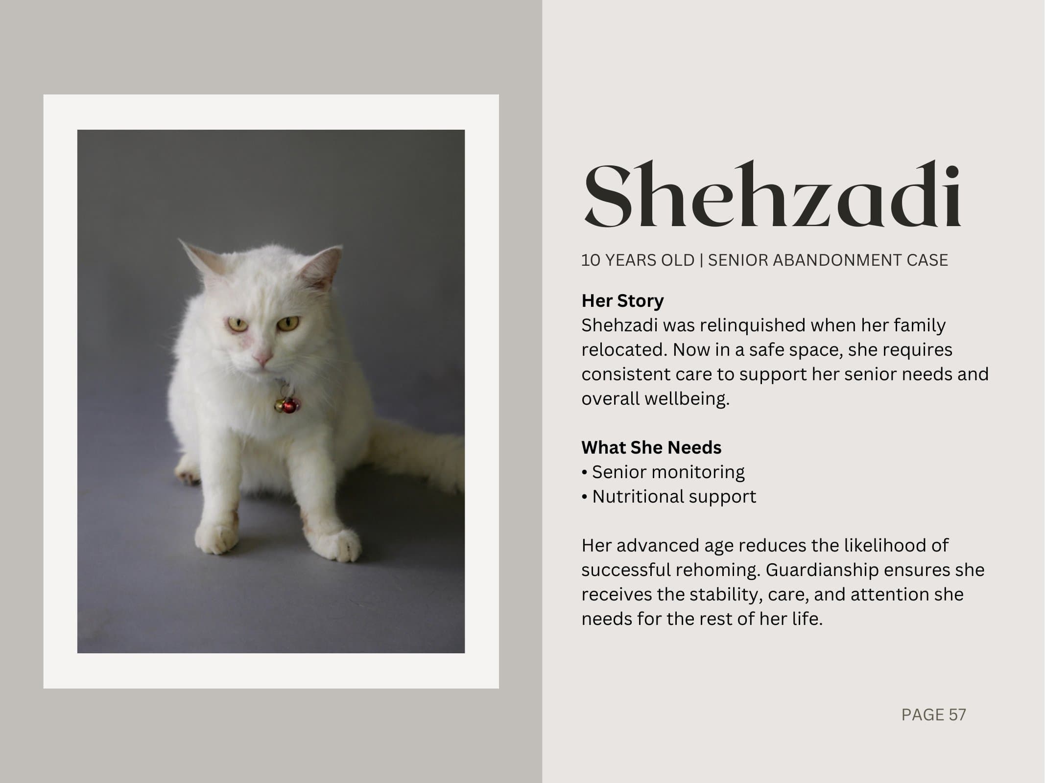 Shehzadi — Senior Abandonment Case