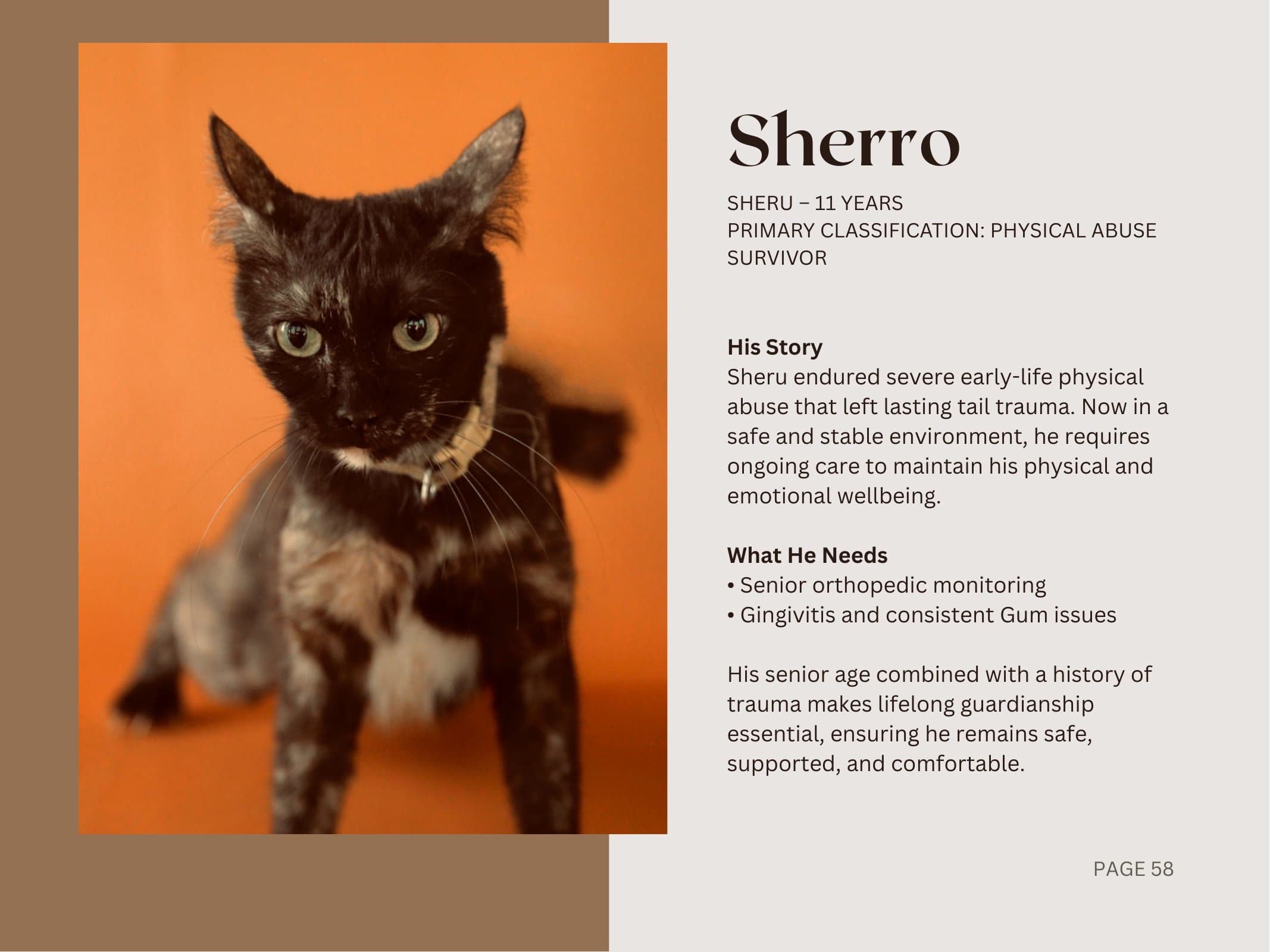 Sherro — Physical Abuse Survivor