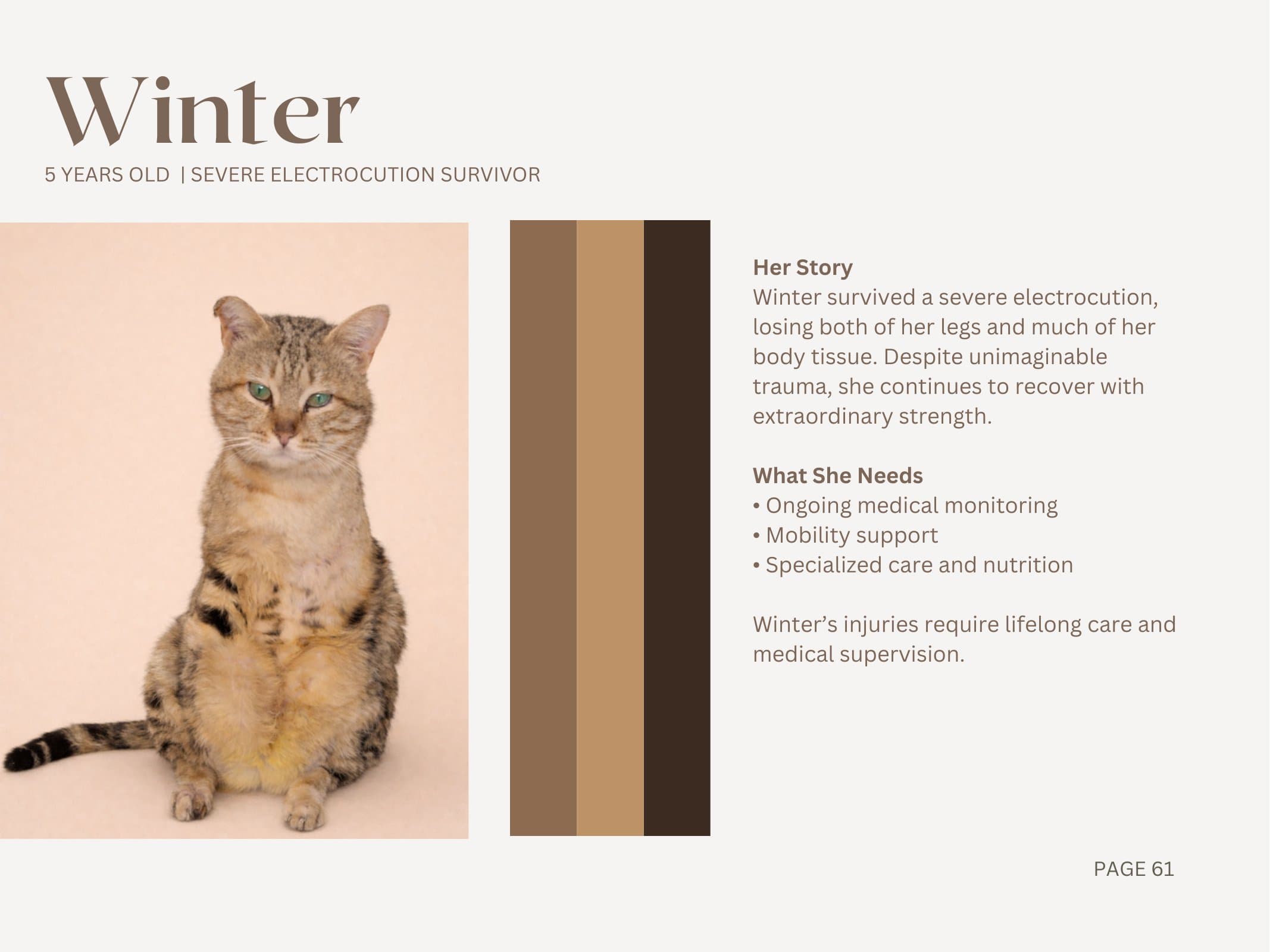Winter — Severe Electrocution Survivor