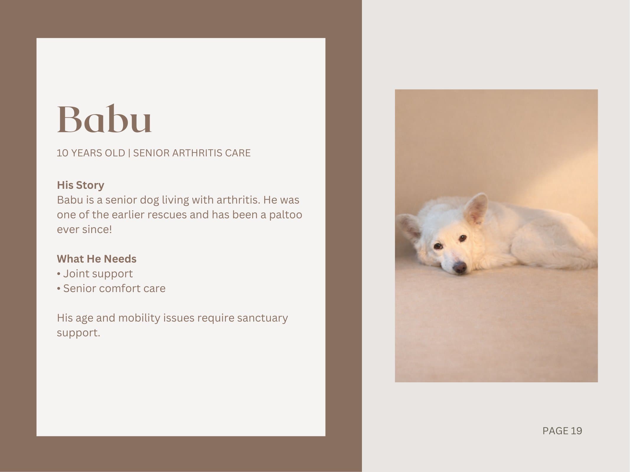 Babu — Senior Arthritis Care