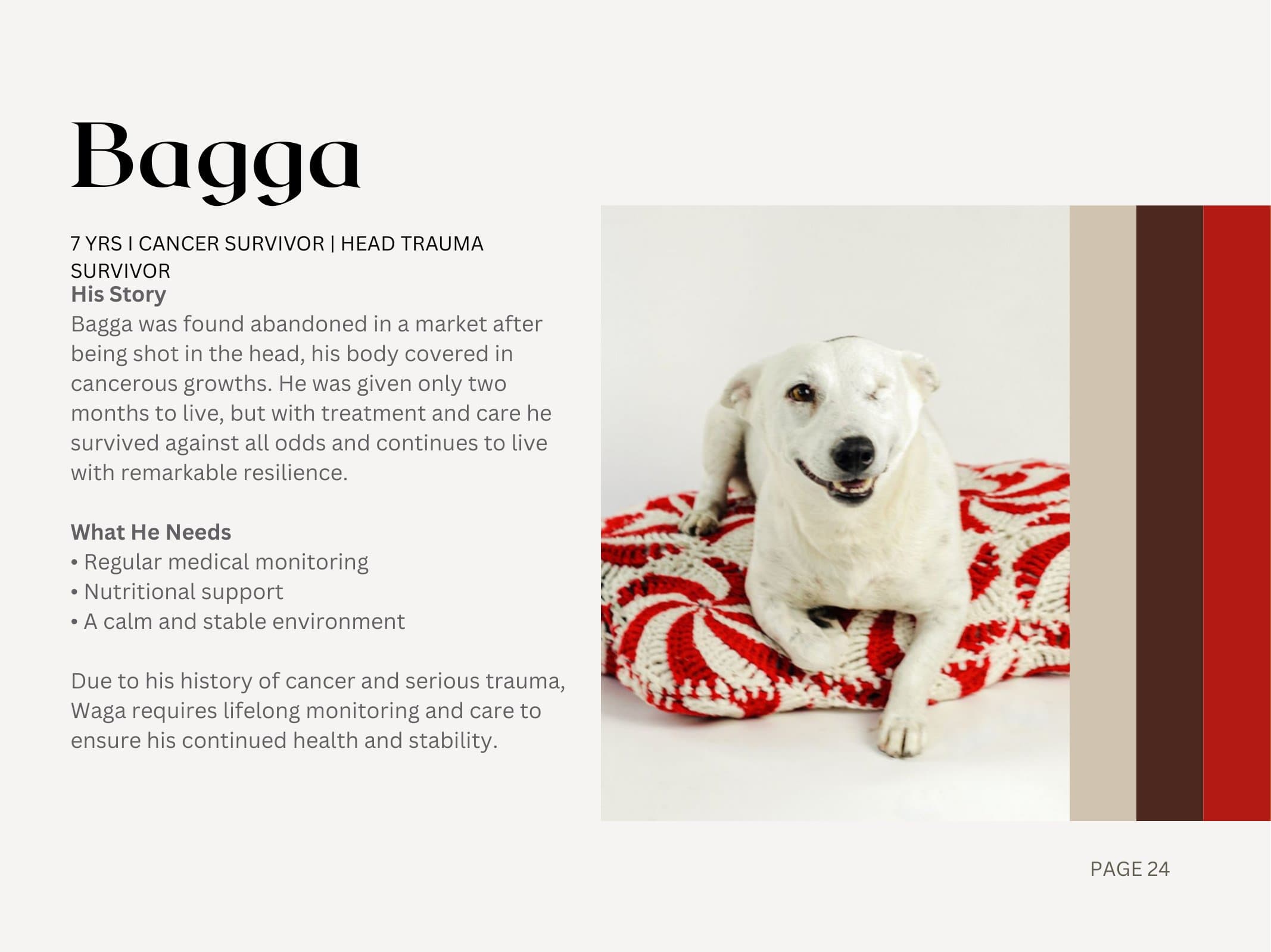 Bagga — Cancer Survivor | Head Trauma Survivor