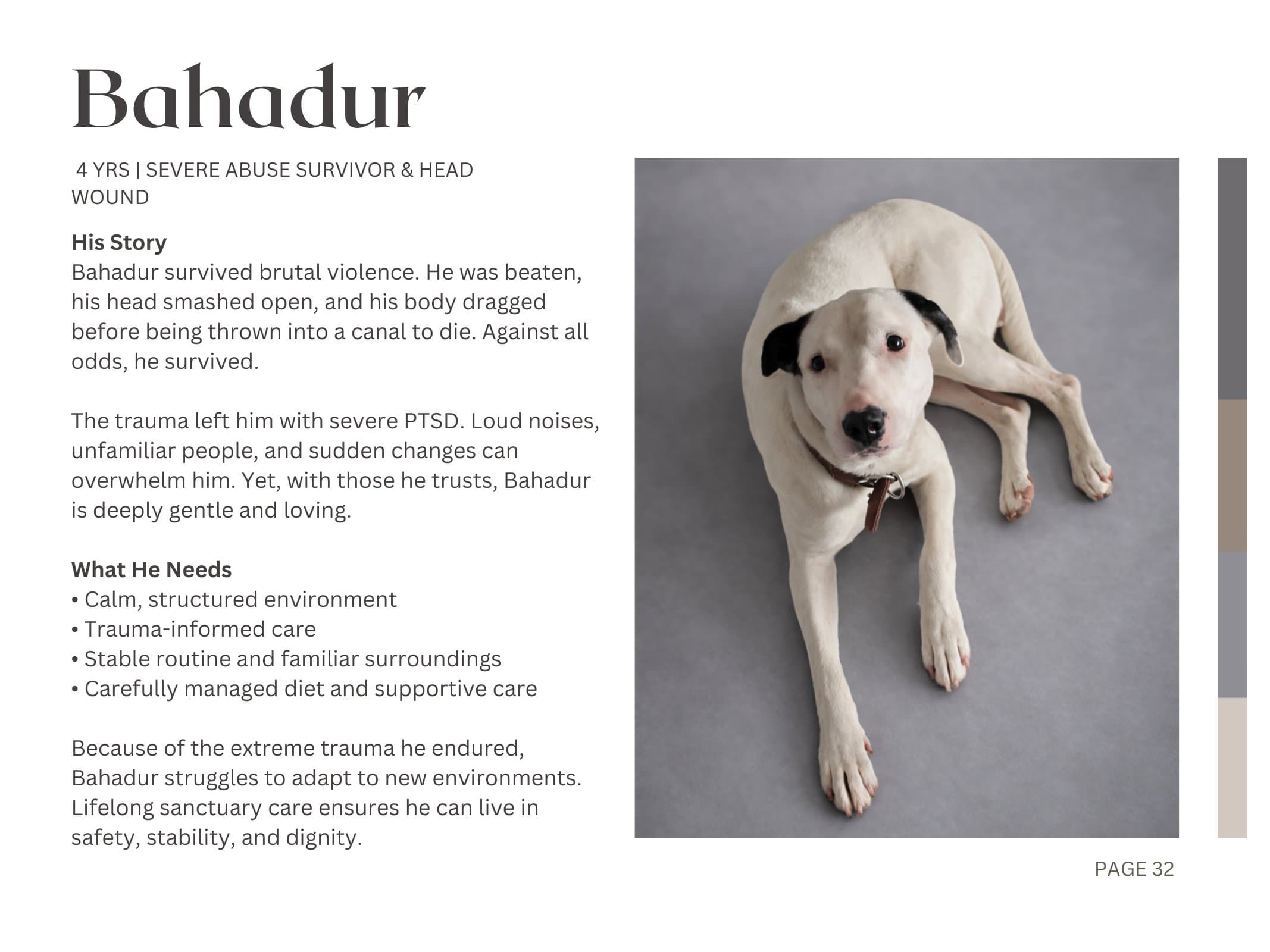 Bahadur — Severe Abuse Survivor & Head Wound