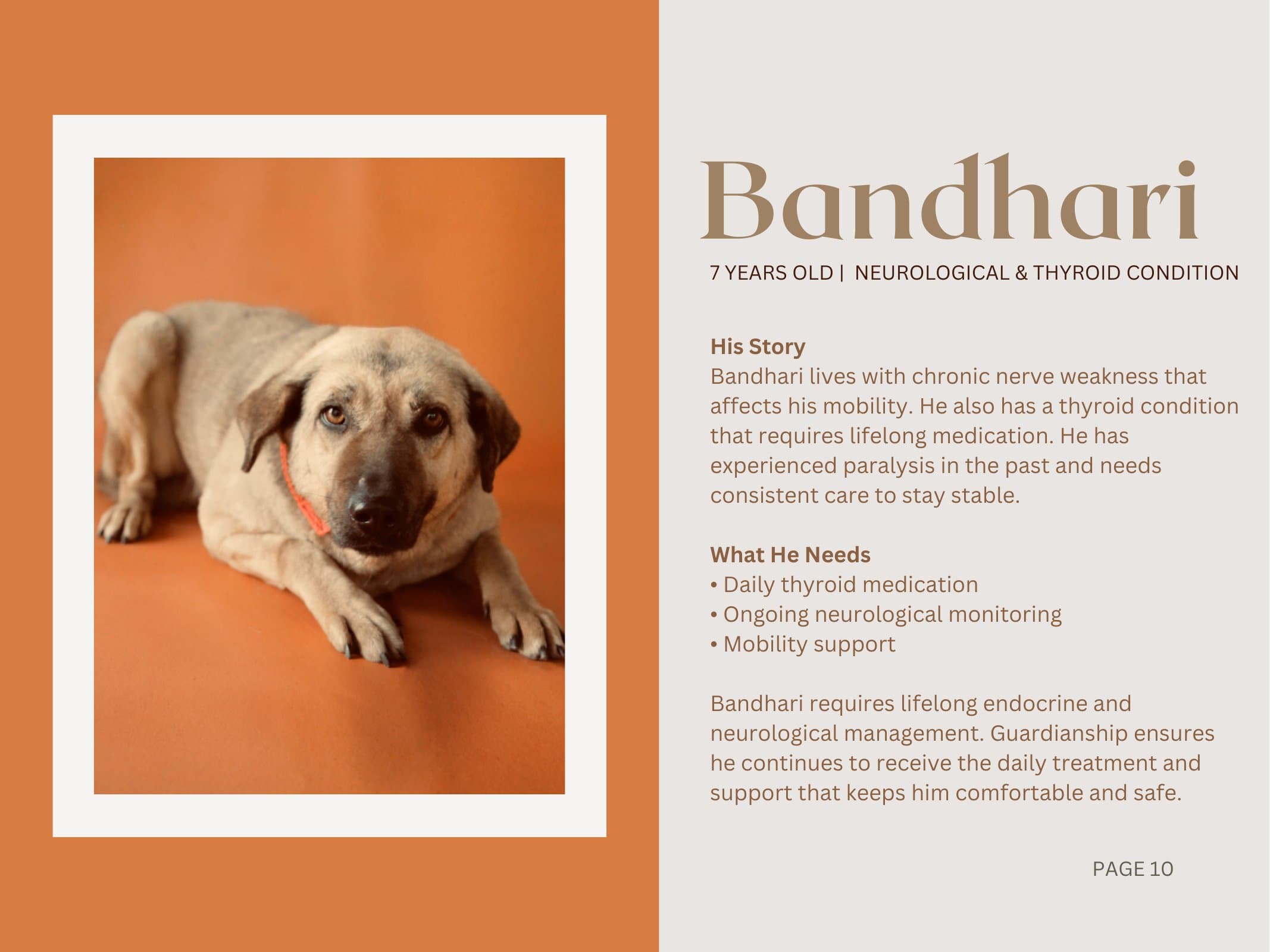 Bandhari — Neurological & Thyroid Condition
