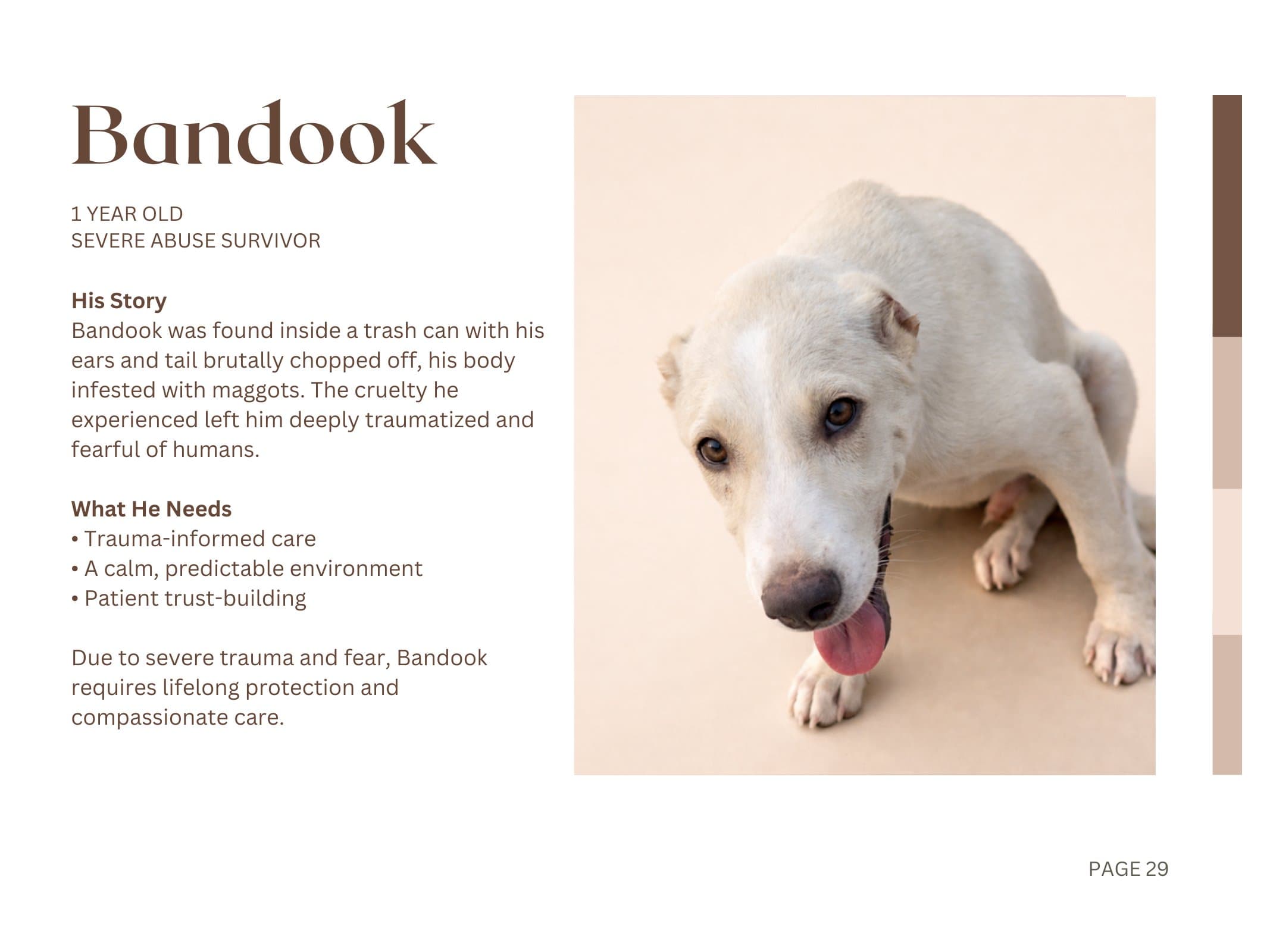 Bandook — Severe Abuse Survivor