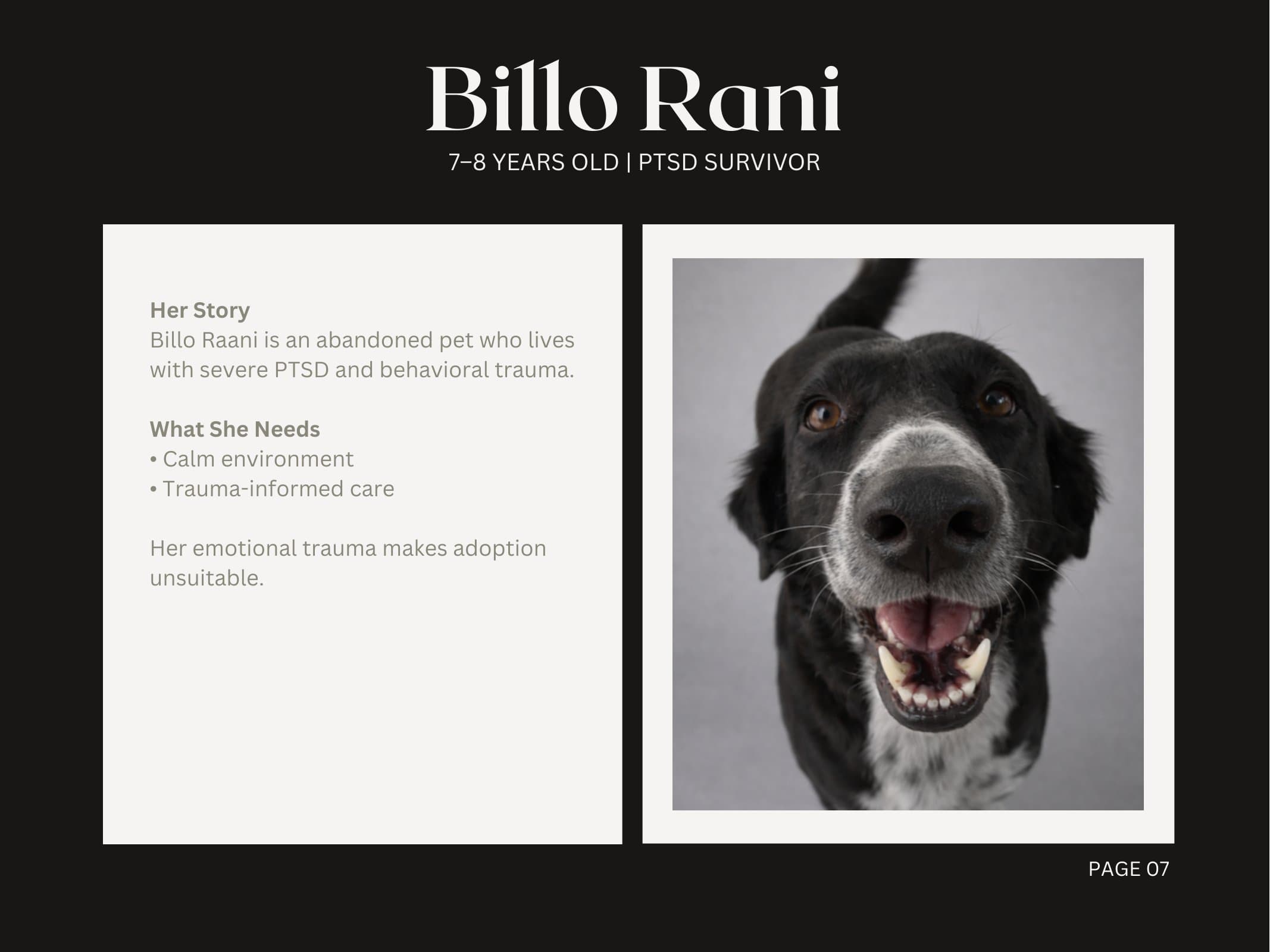 Billo Rani — PTSD Survivor