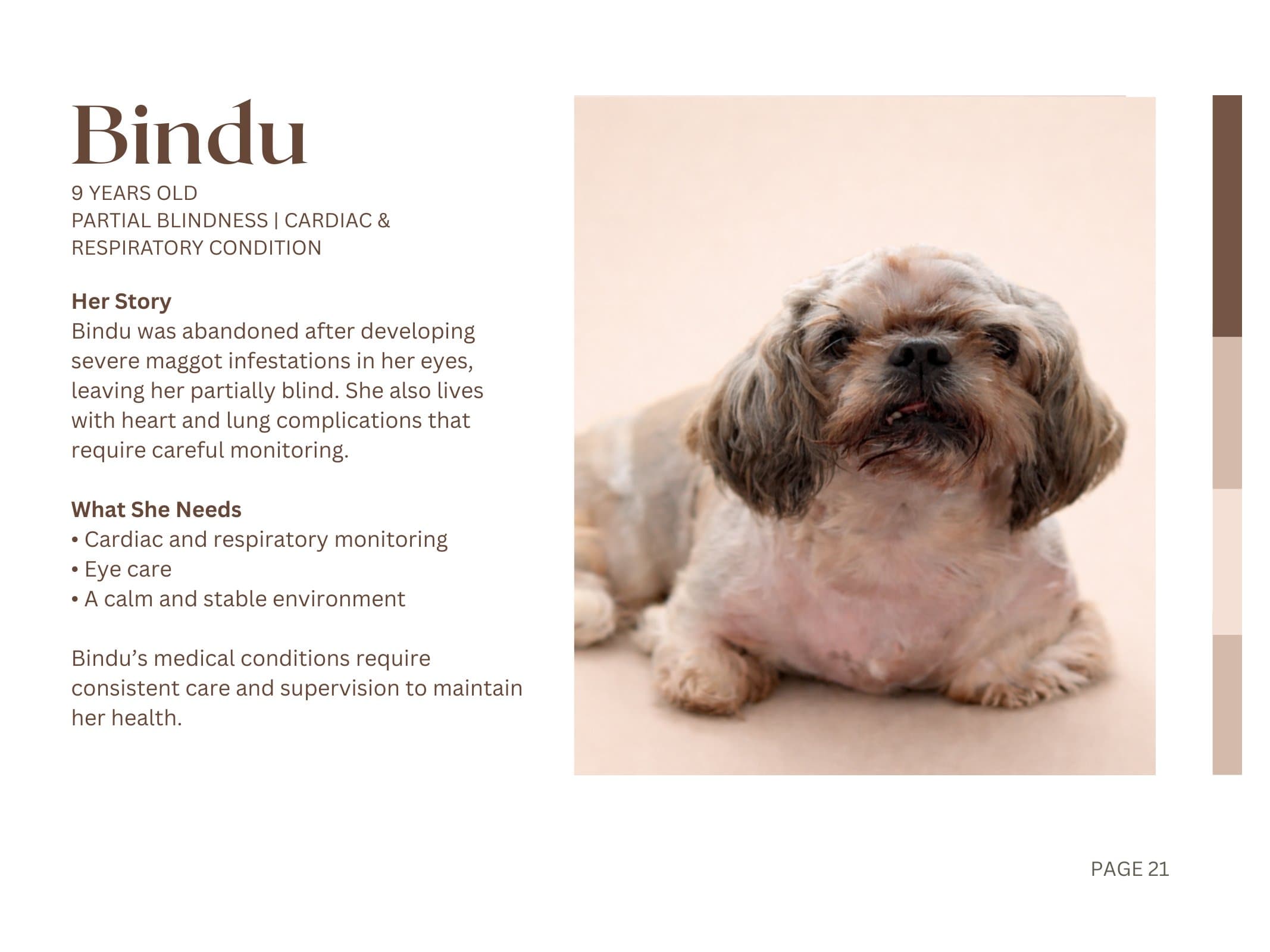 Bindu — Partial Blindness | Cardiac & Respiratory Condition
