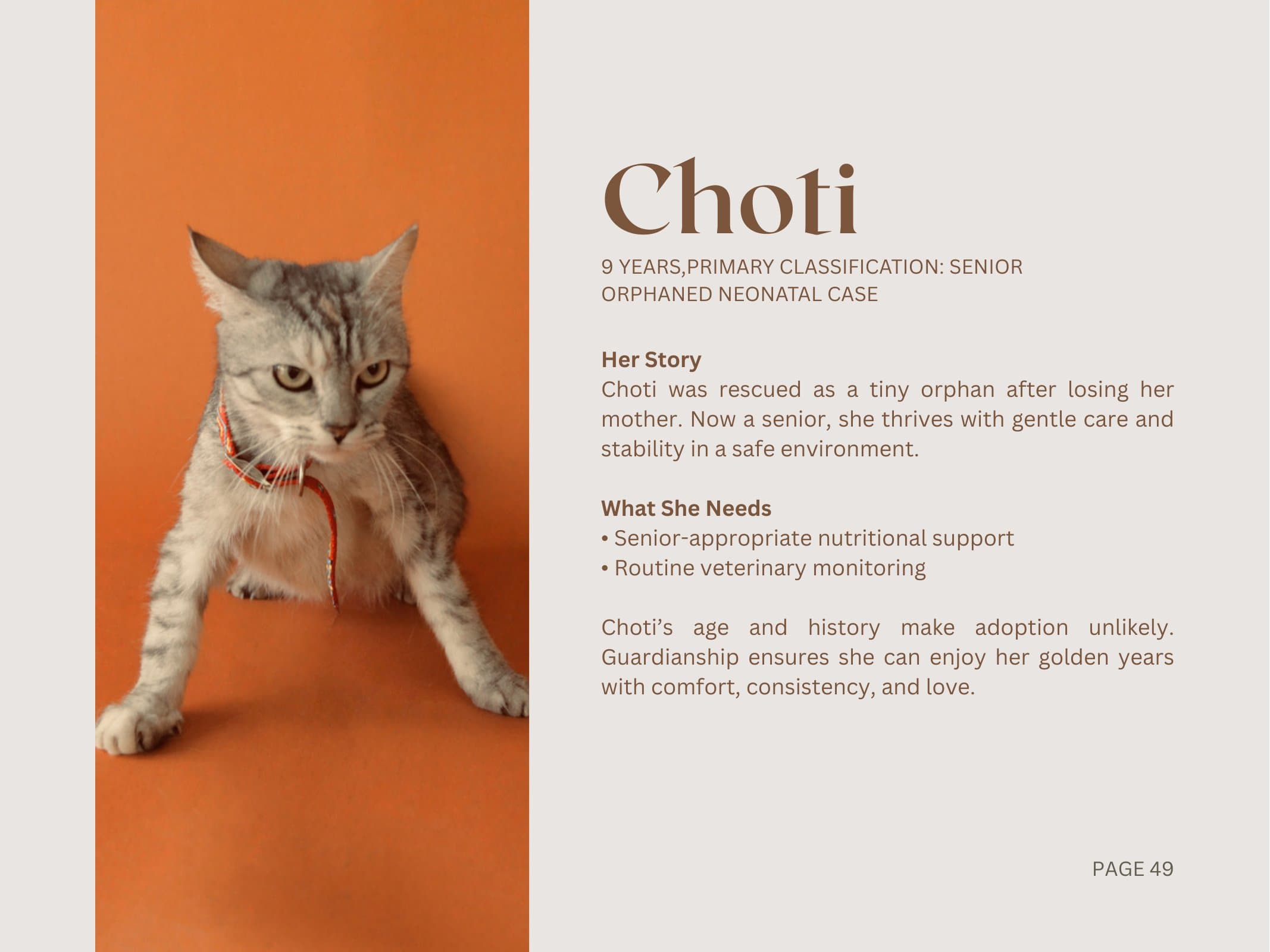 Choti — Senior Orphaned Neonatal Case