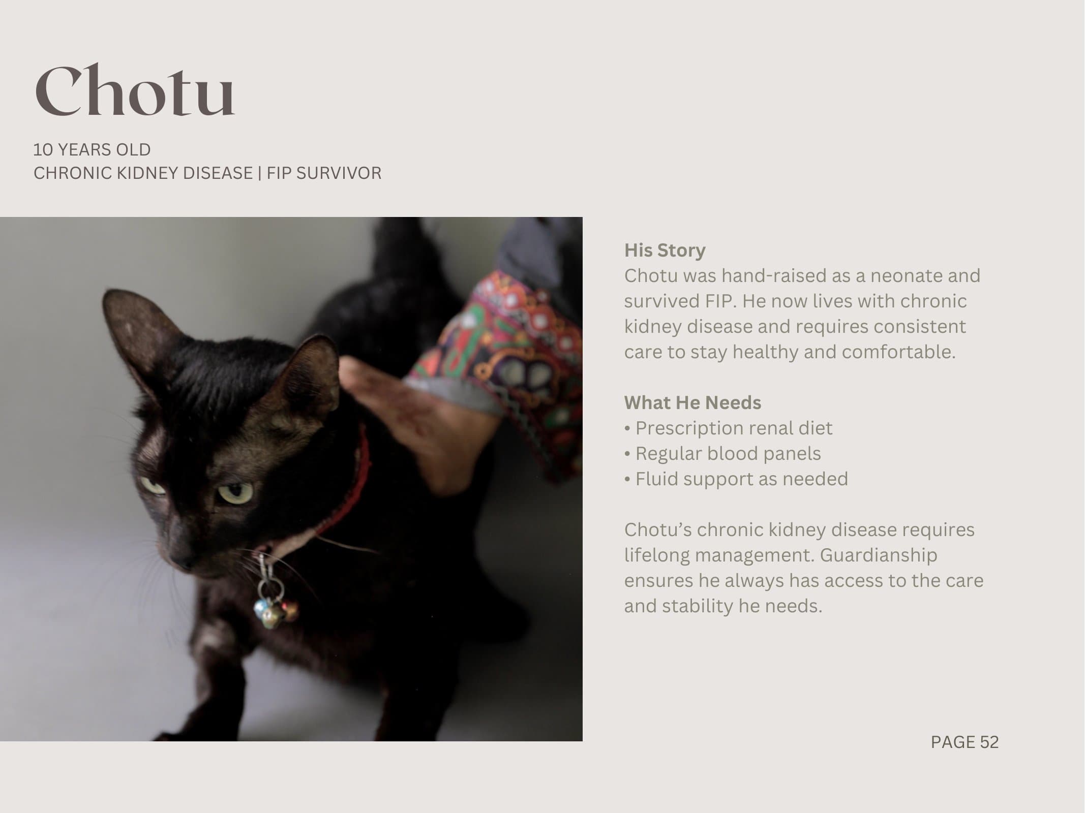 Chotu — Chronic Kidney Disease | FIP Survivor