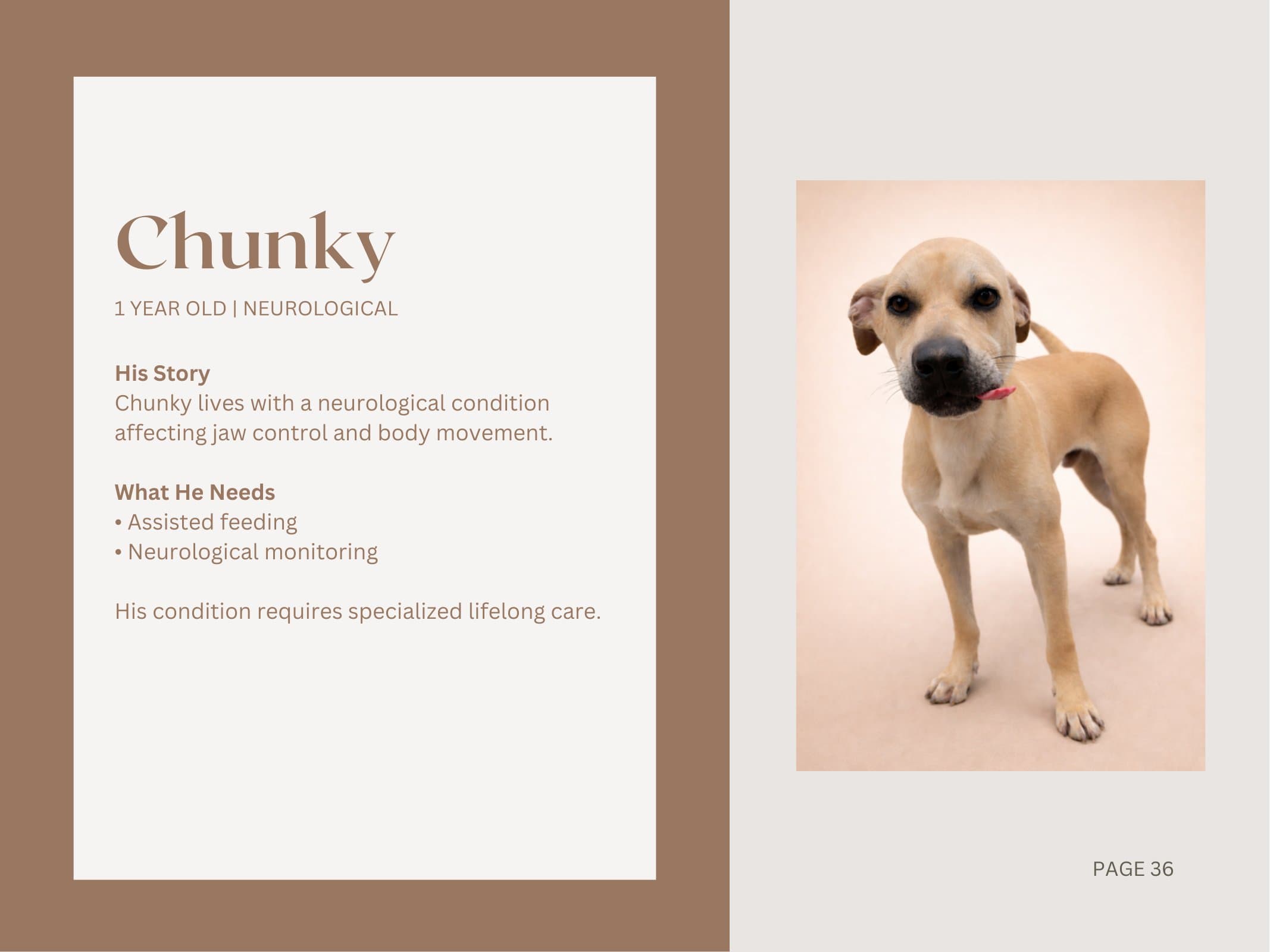 Chunky — Neurological