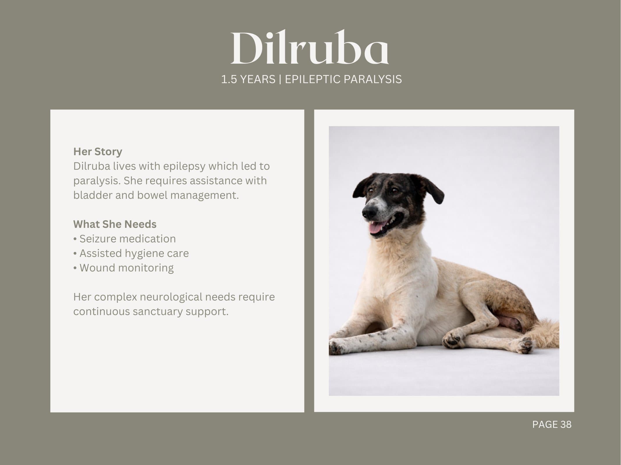 Dilruba — Epileptic Paralysis