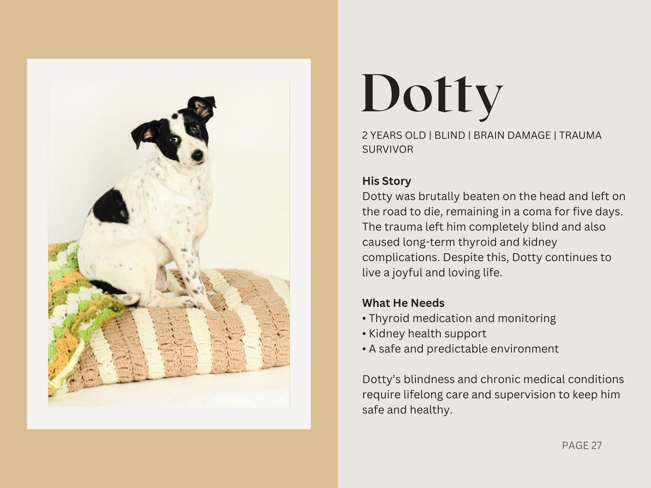 Dotty — Blind | Brain Damage | Trauma Survivor