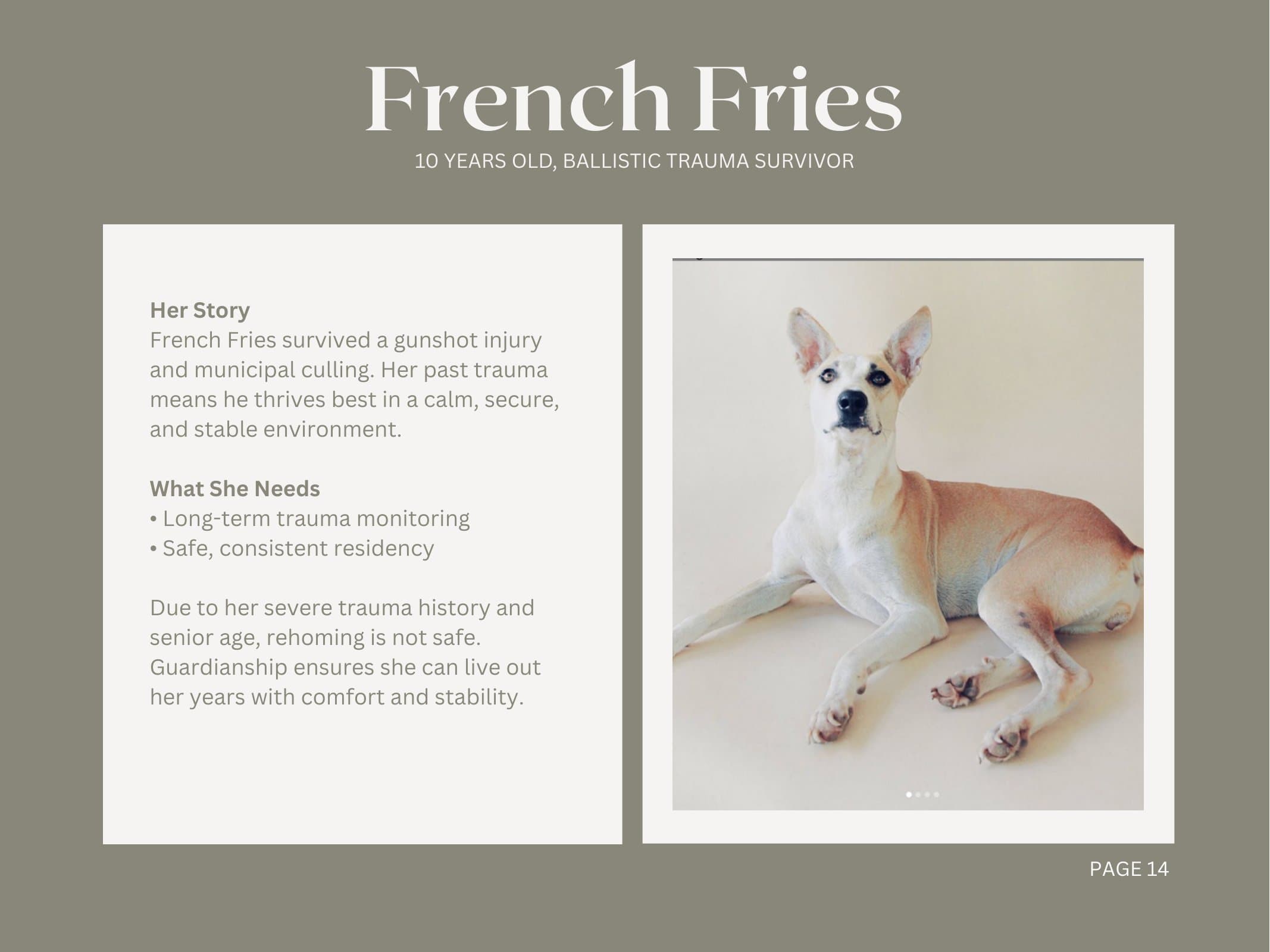 French Fries — Ballistic Trauma Survivor