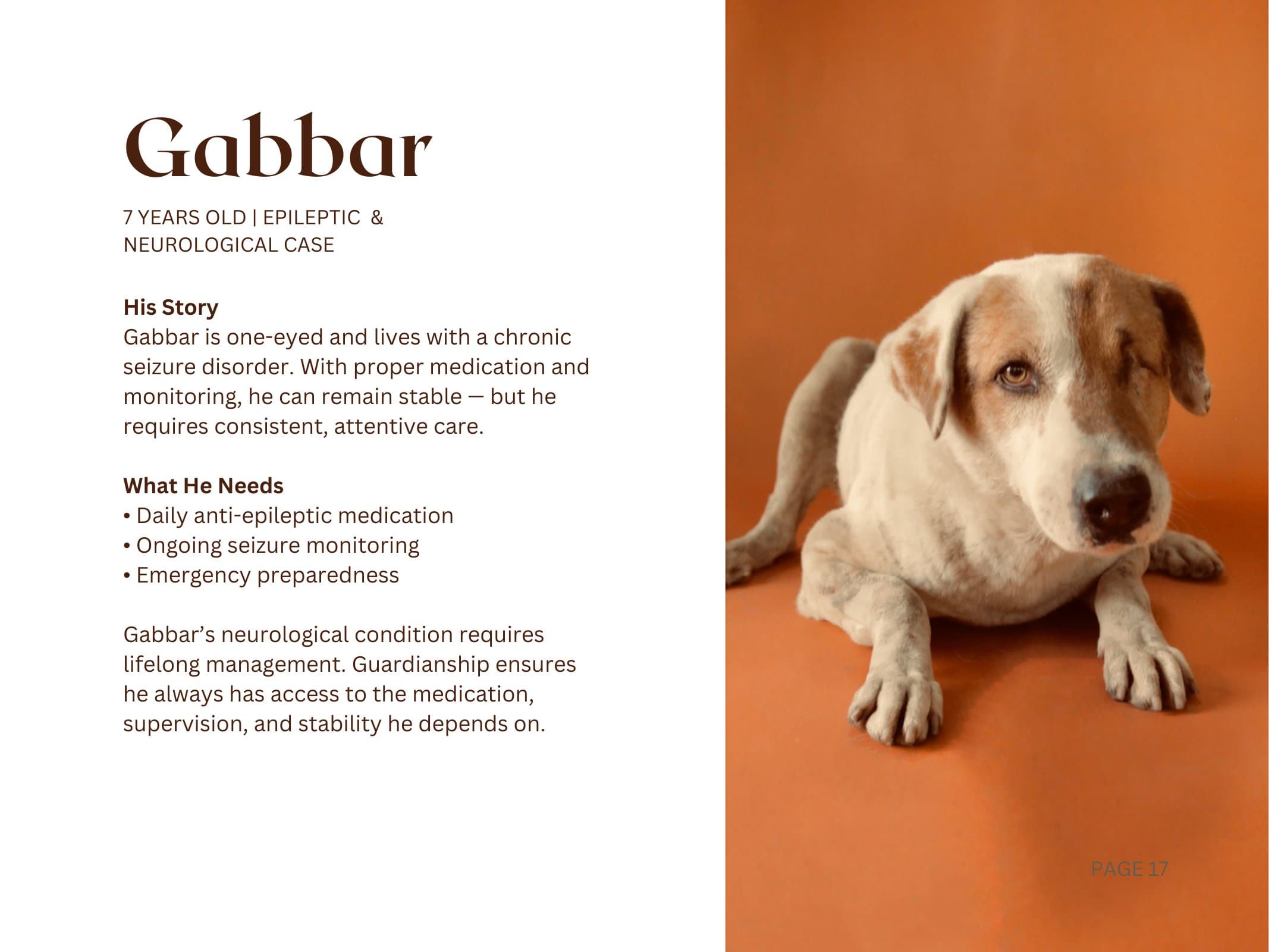Gabbar — Epileptic & Neurological Case