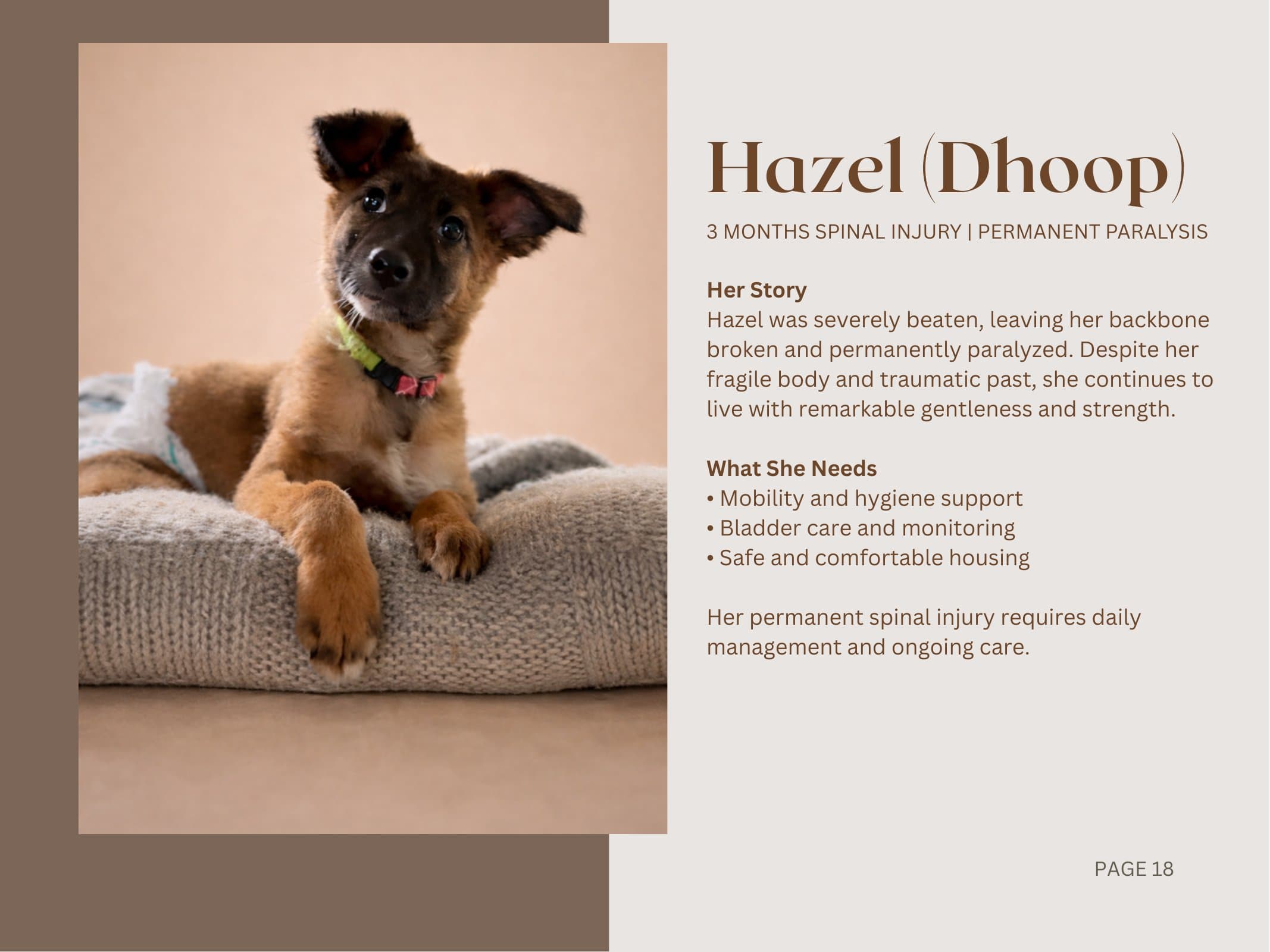 Hazel (Dhoop) — Spinal Injury | Permanent Paralysis
