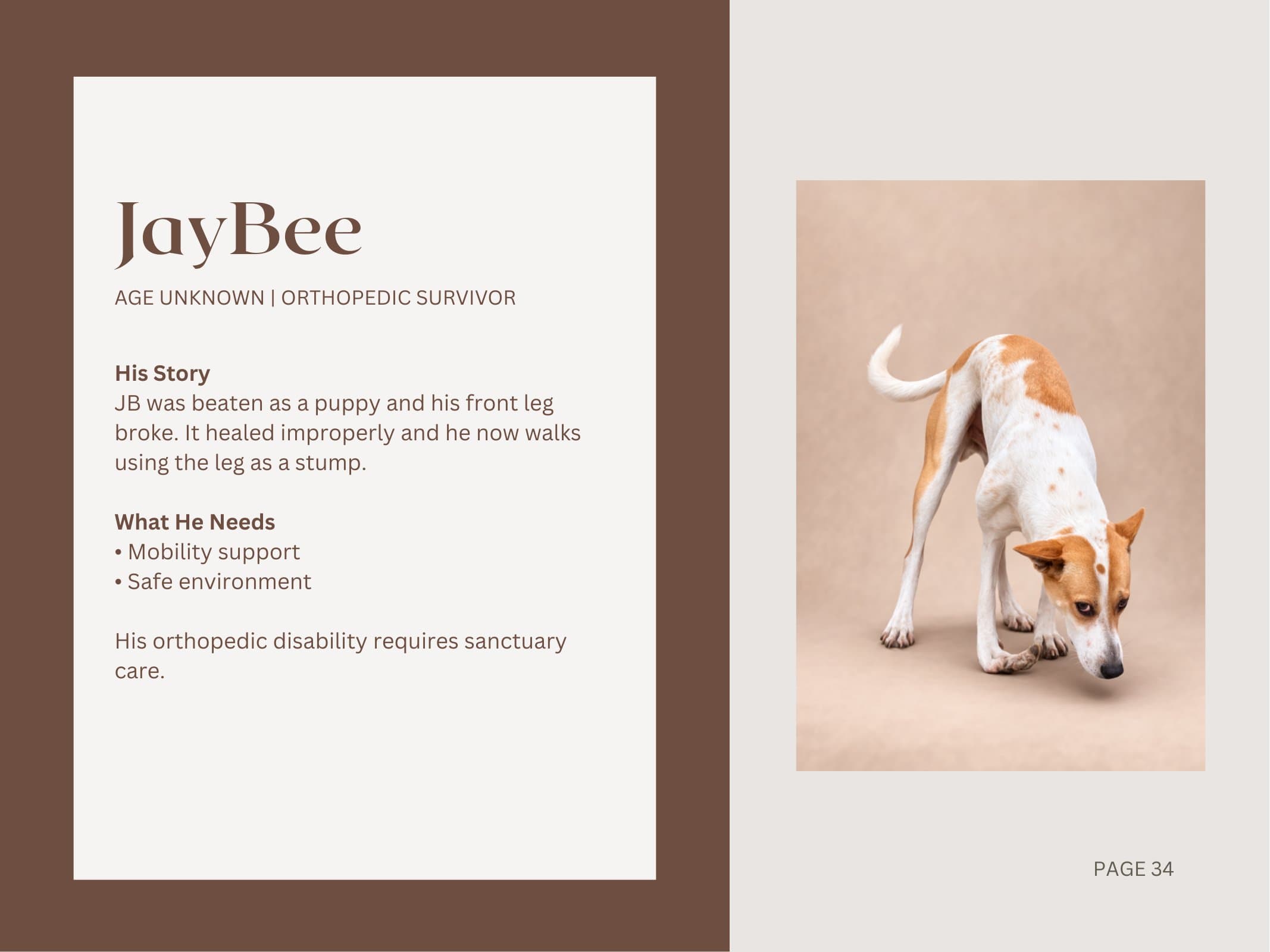 JayBee — Orthopedic Survivor