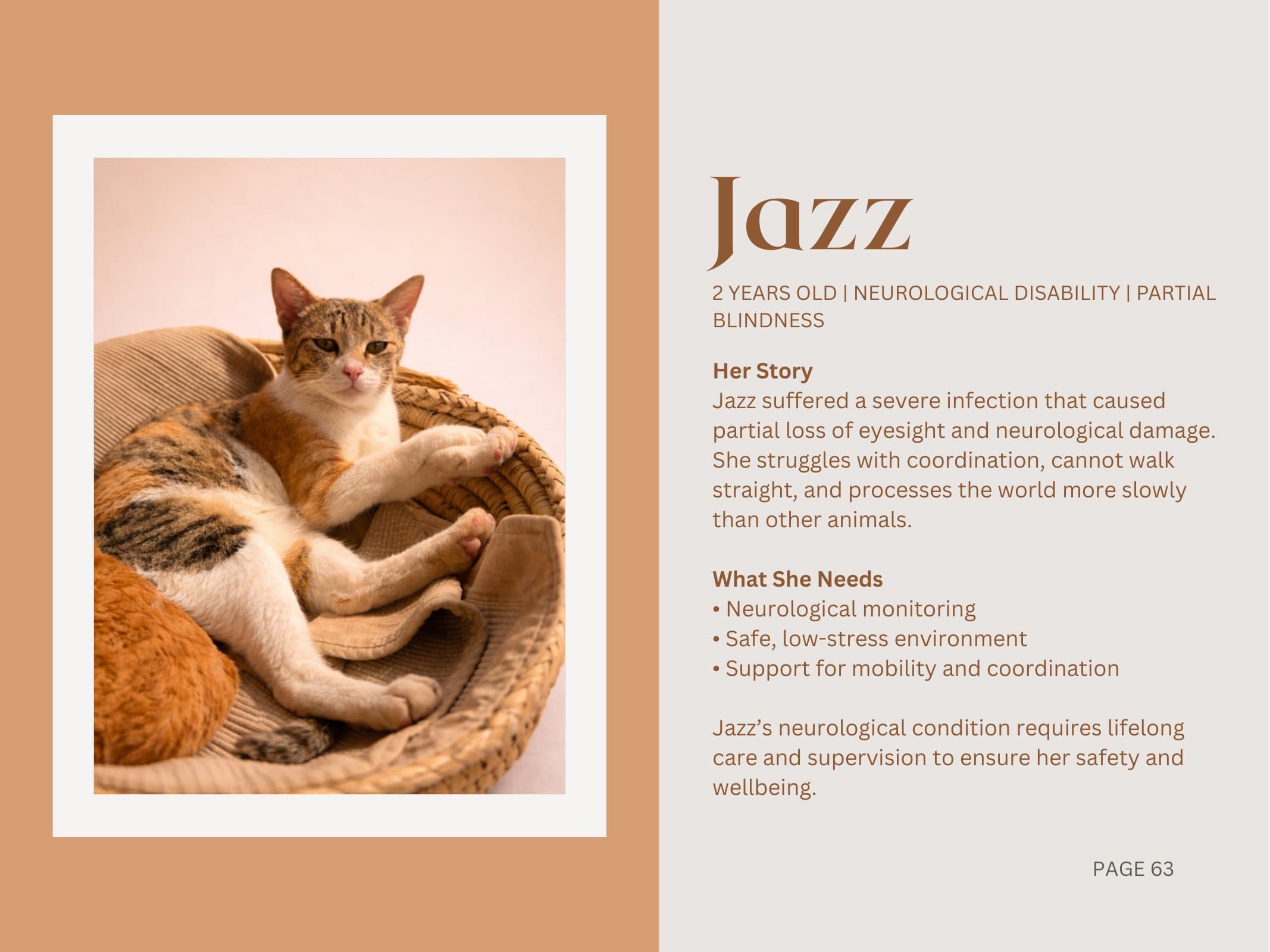 Jazz — Neurological Disability | Partial Blindness