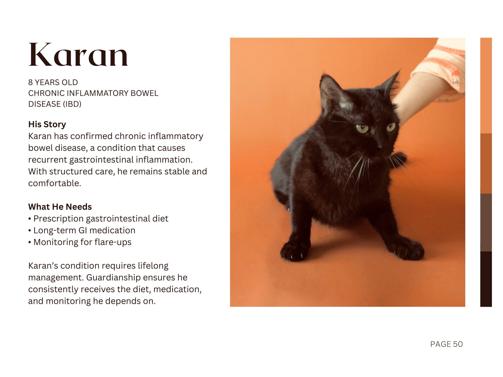 Karan — Chronic Inflammatory Bowel Disease (IBD)