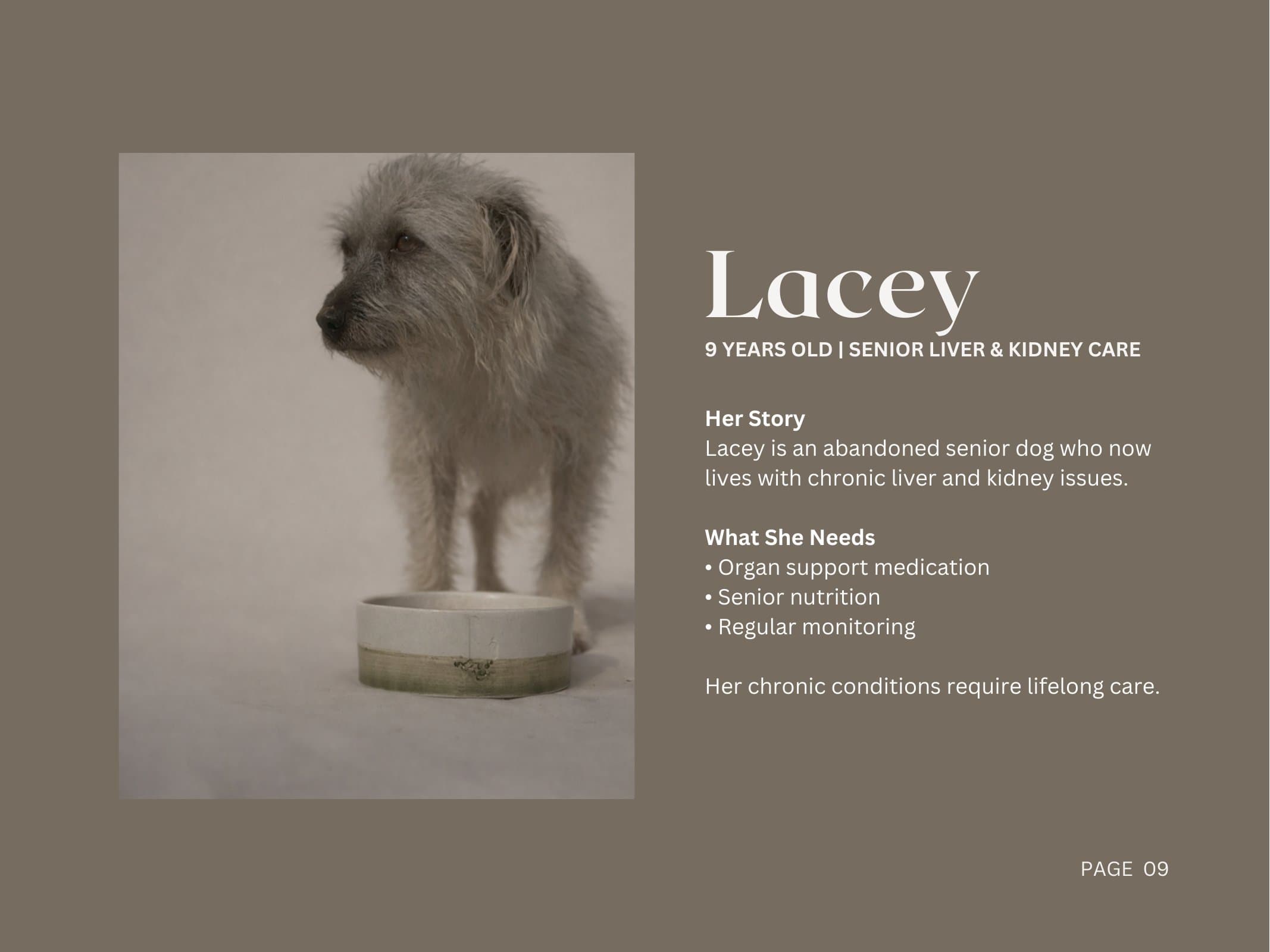 Lacey — Senior Liver & Kidney Care