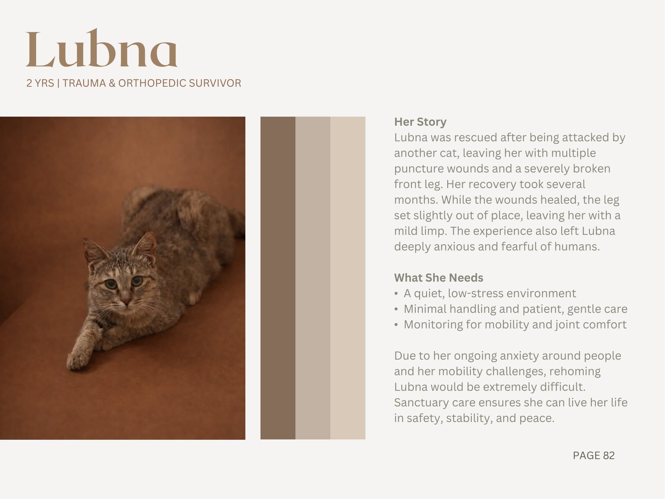 Lubna — Trauma & Orthopedic Survivor