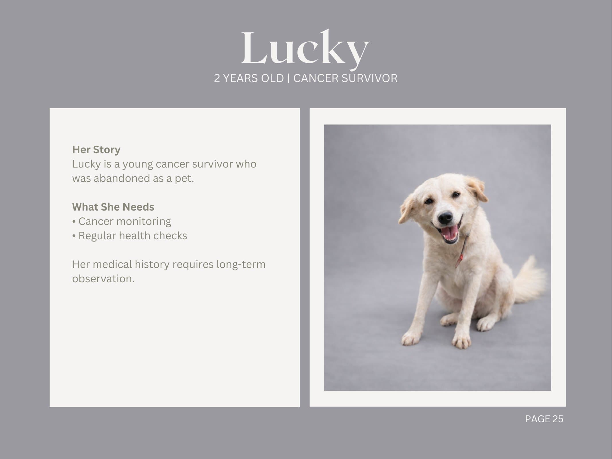 Lucky — Cancer Survivor