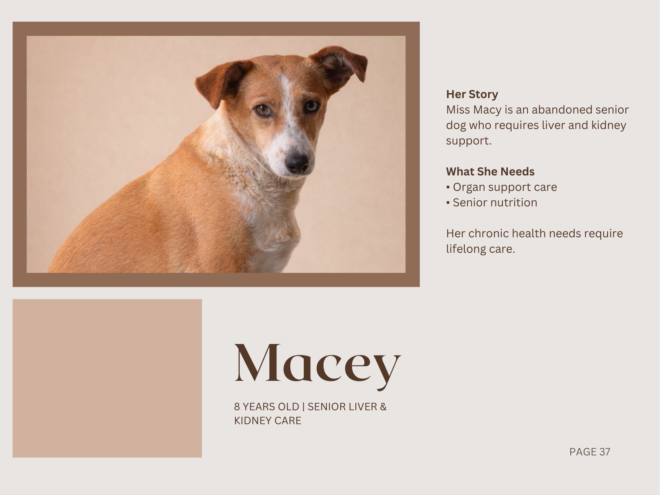 Macey — Senior Liver & Kidney Care