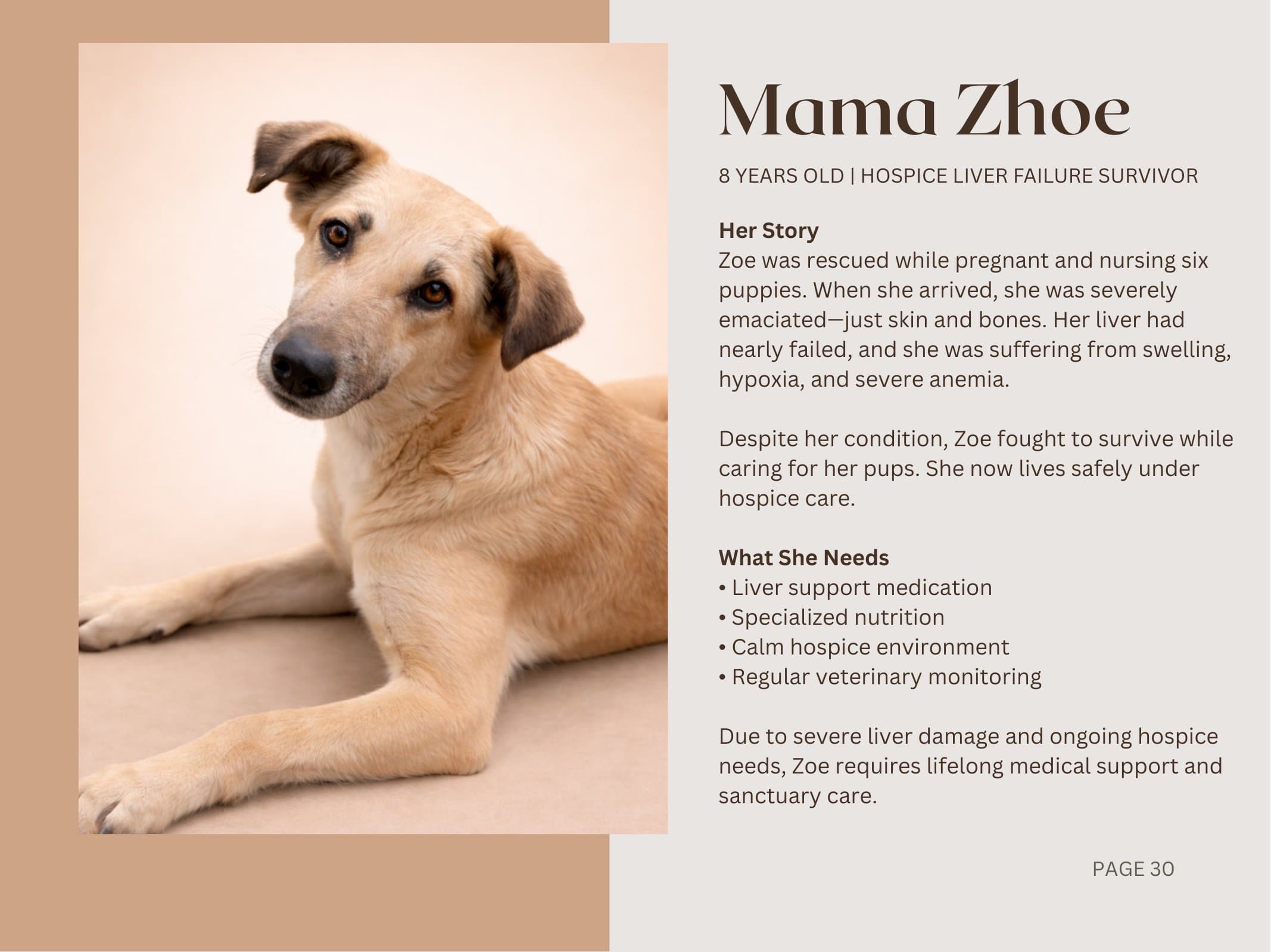 Mama Zhoe — Hospice Liver Failure Survivor