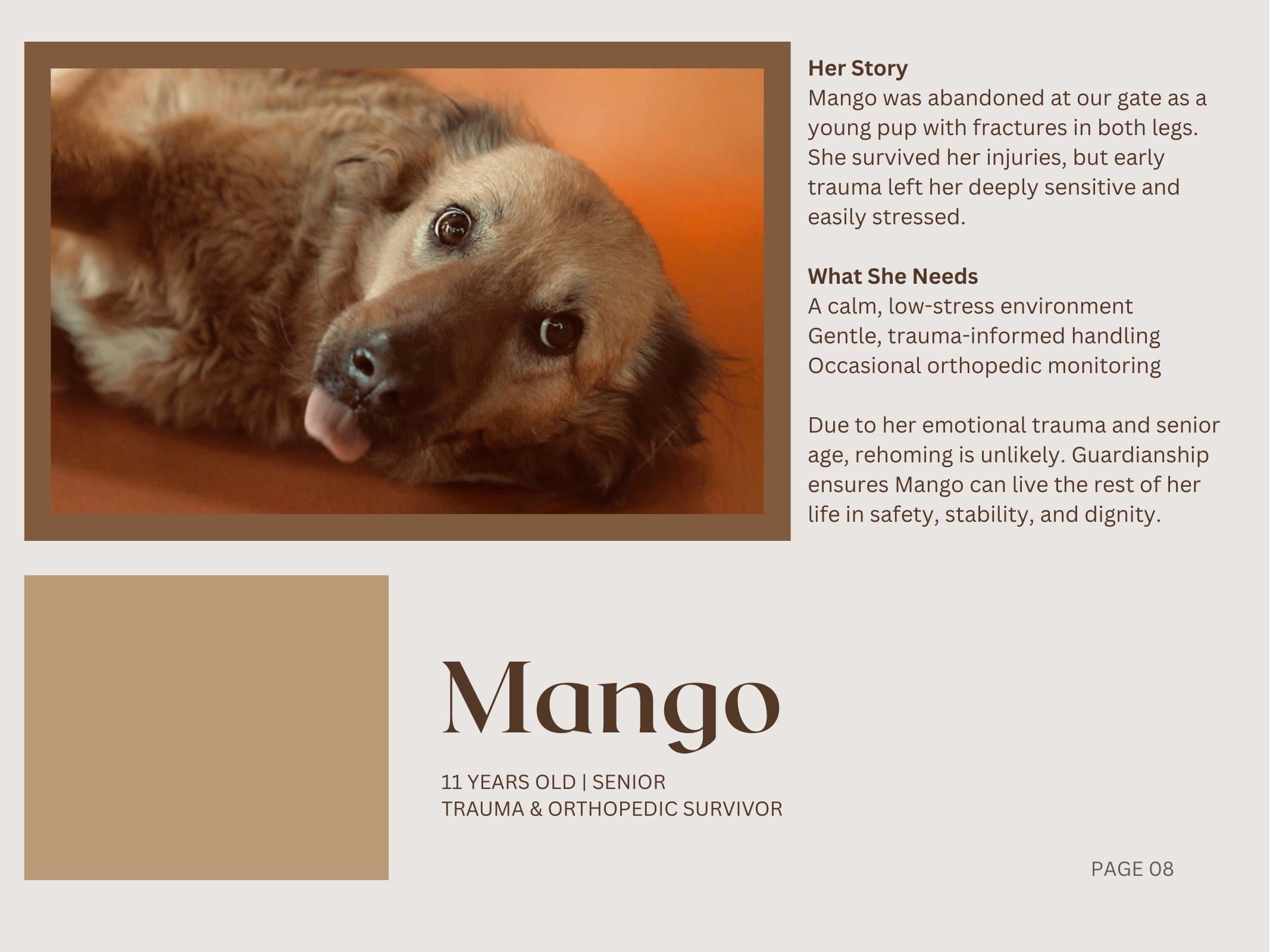 Mango — Trauma & Orthopedic Survivor