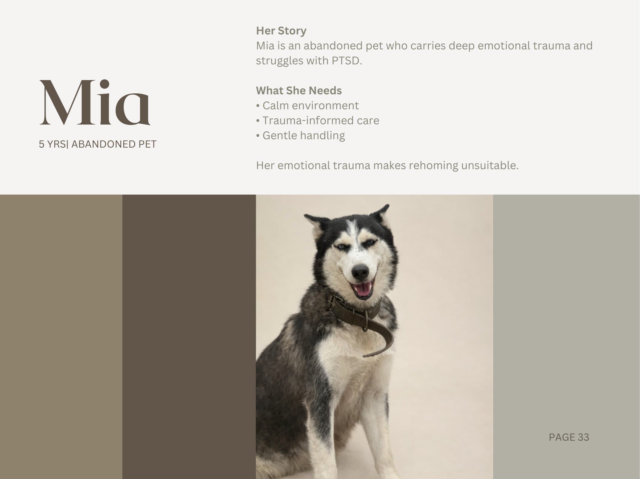 Mia — Abandoned Pet