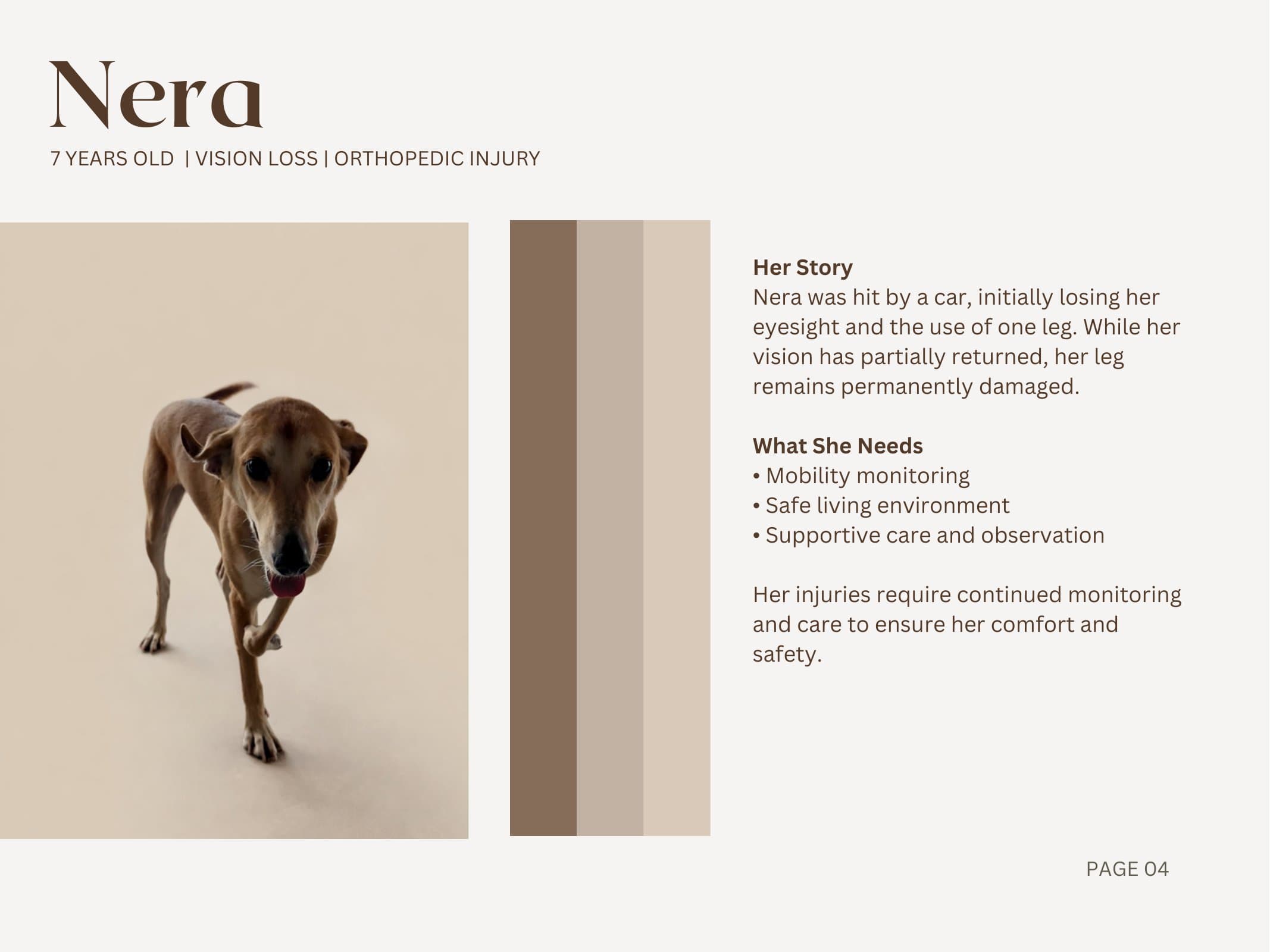 Nera — Vision Loss | Orthopedic Injury