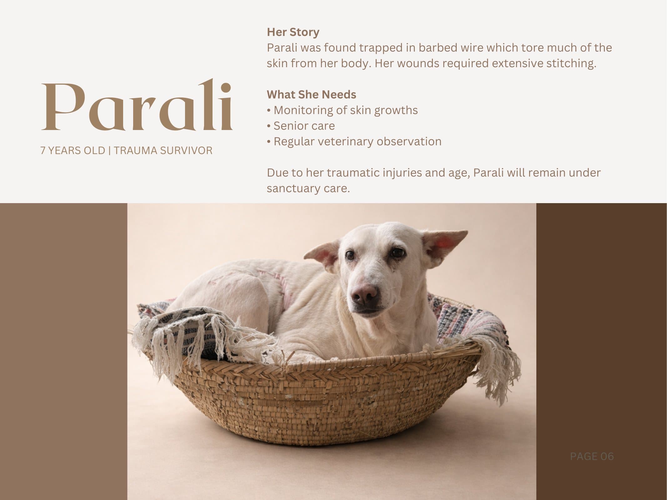 Parali — Trauma Survivor