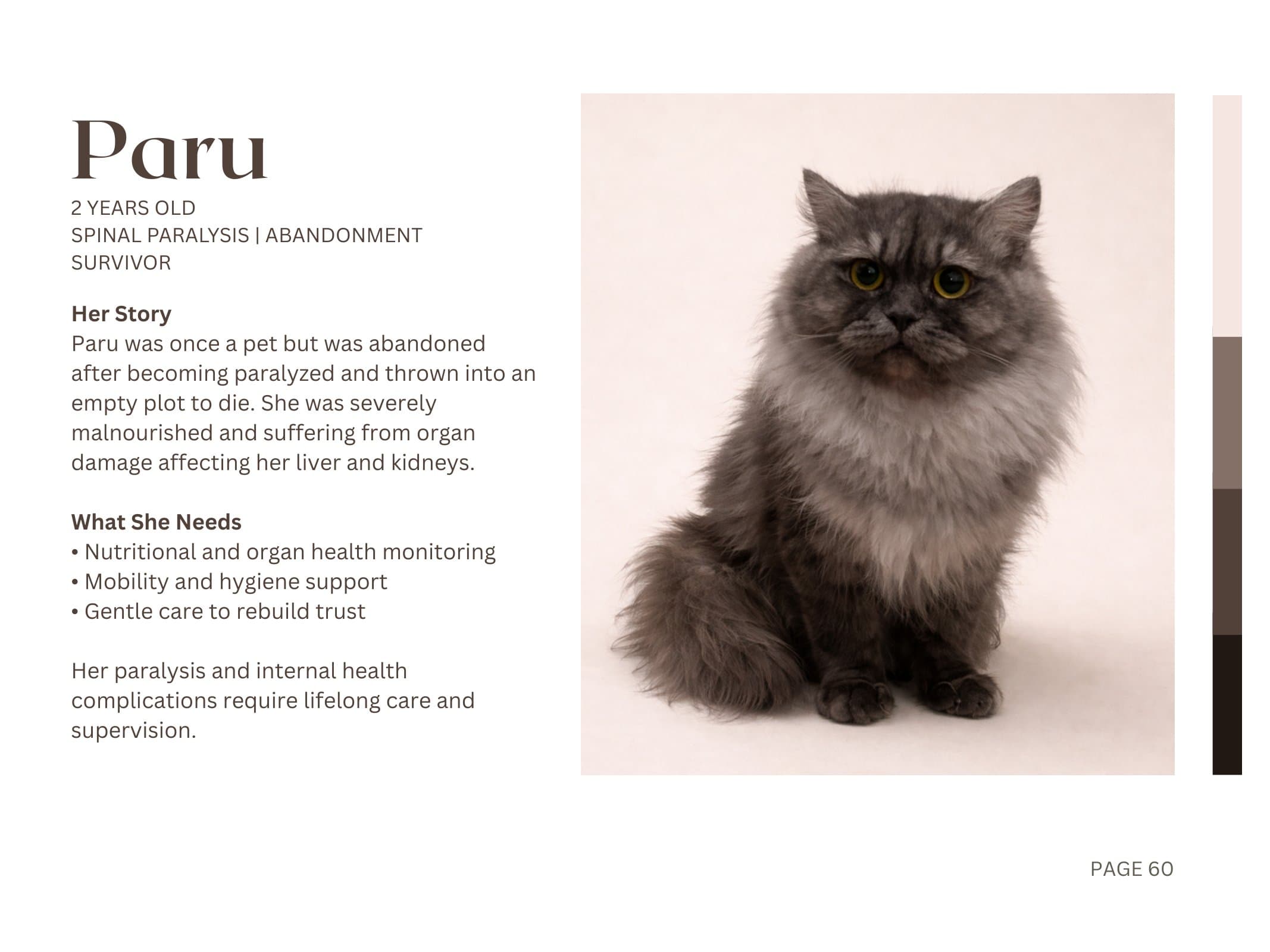 Paru — Spinal Paralysis | Abandonment Survivor