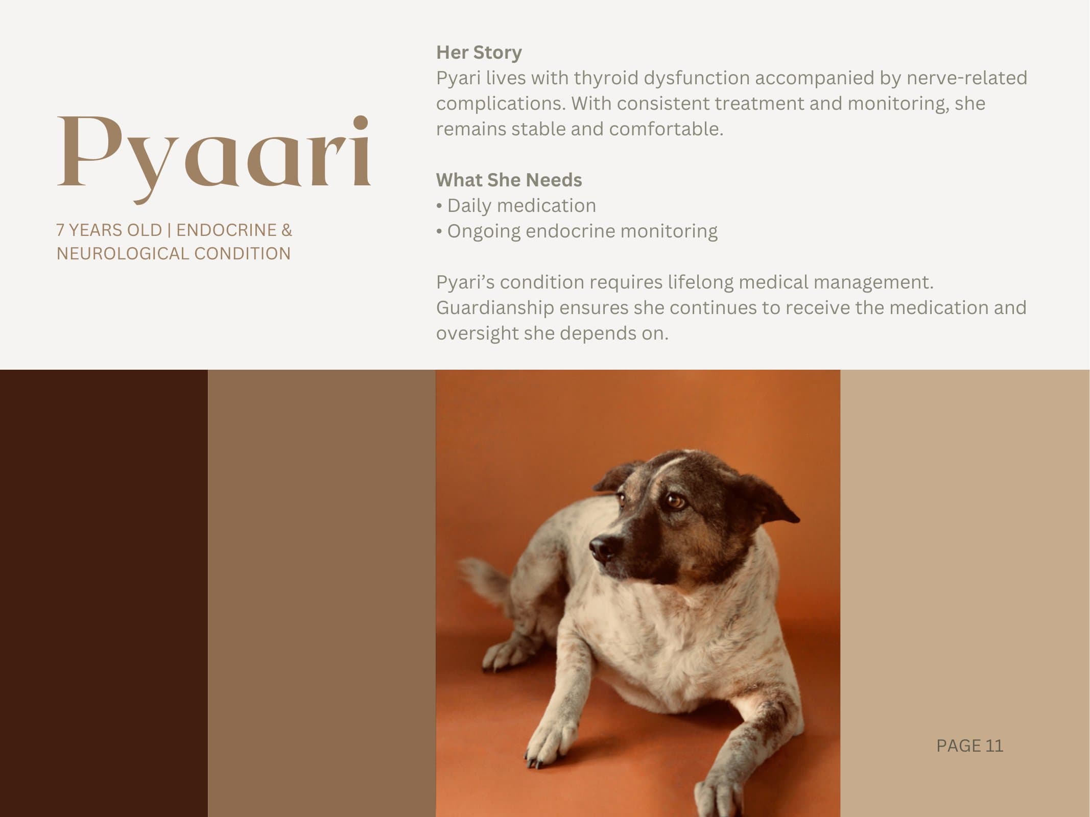 Pyaari — Endocrine & Neurological Condition