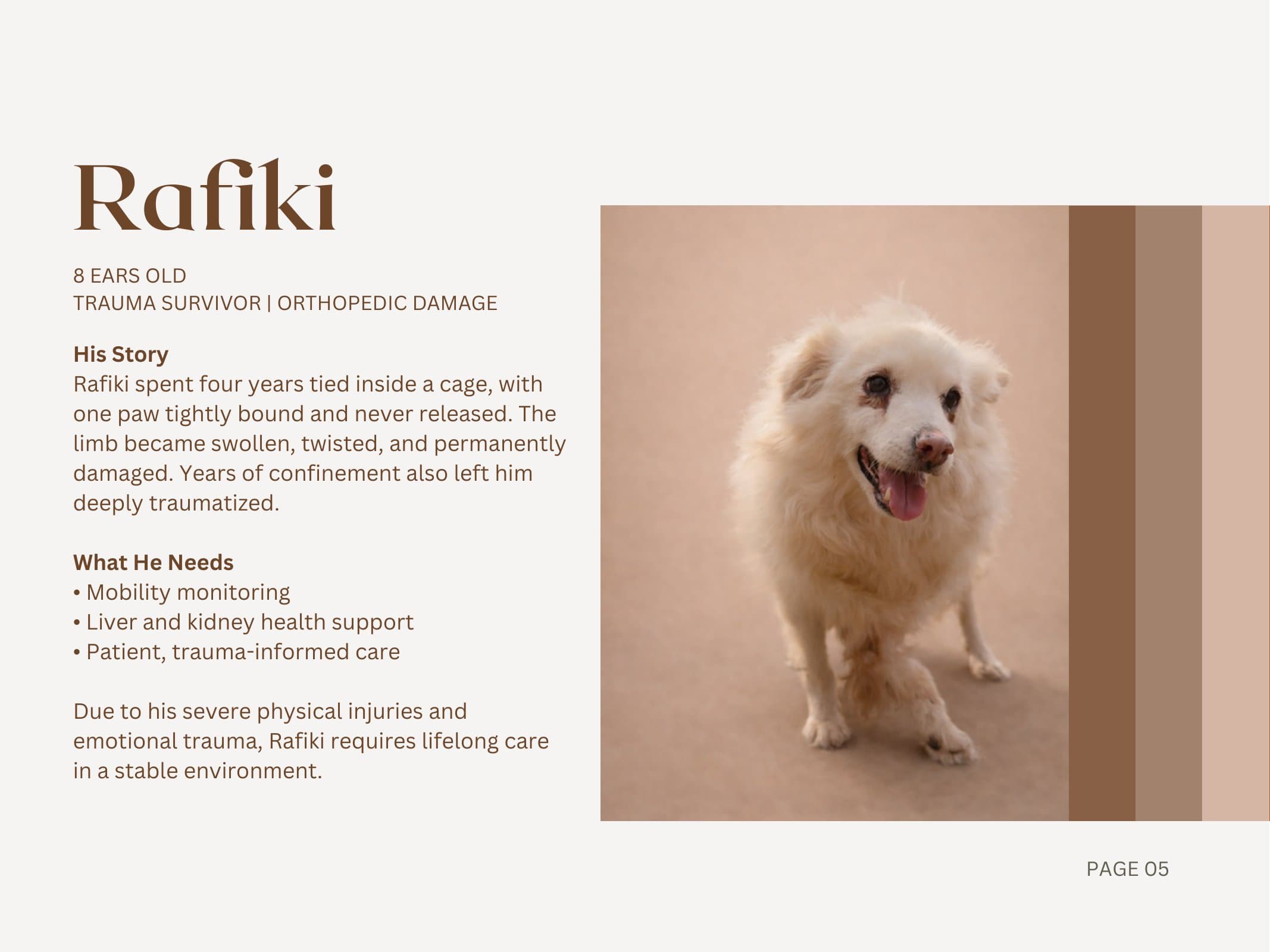 Rafiki — Trauma Survivor | Orthopedic Damage