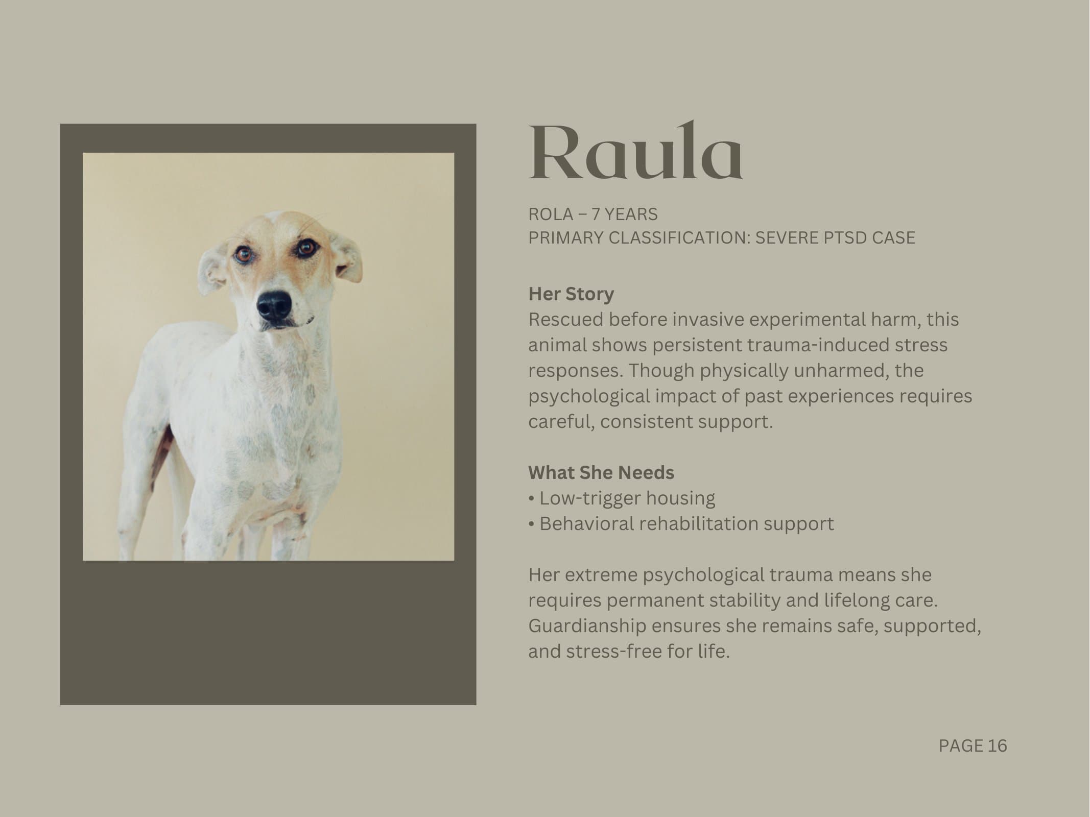 Raula — Severe PTSD Case